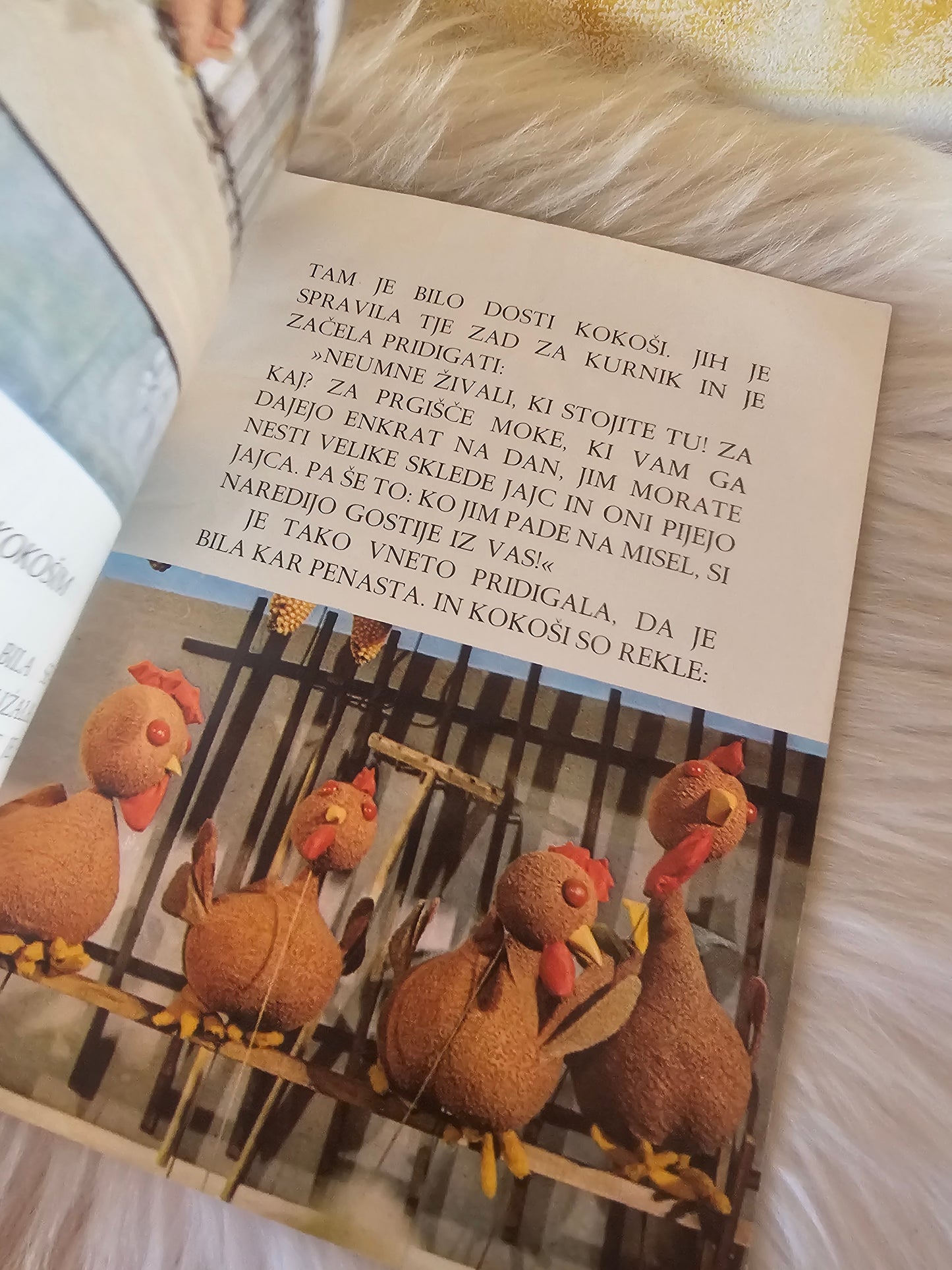 Zverinice iz Rezije Lisica pridigala kokošim Mladinska knjiga