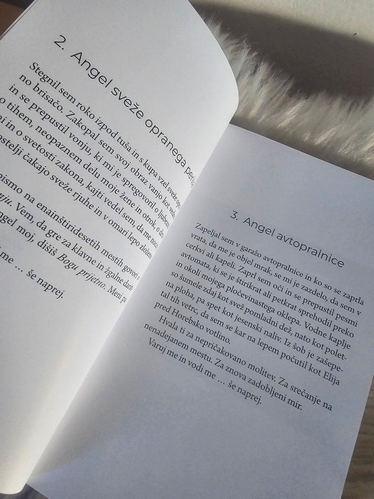 111 angelov Gregor Čušin