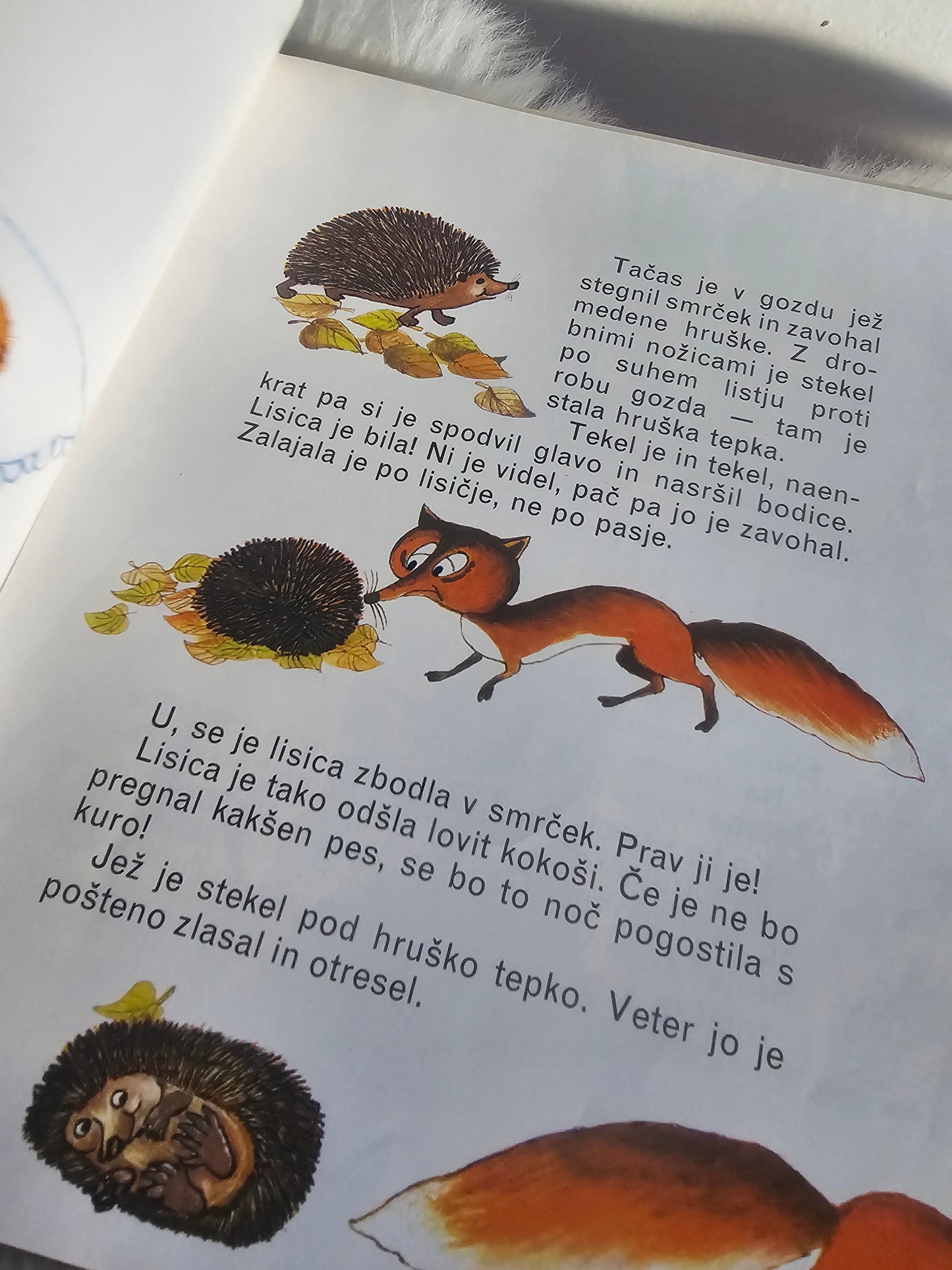 Ko  Nina spi  Branka Jurca