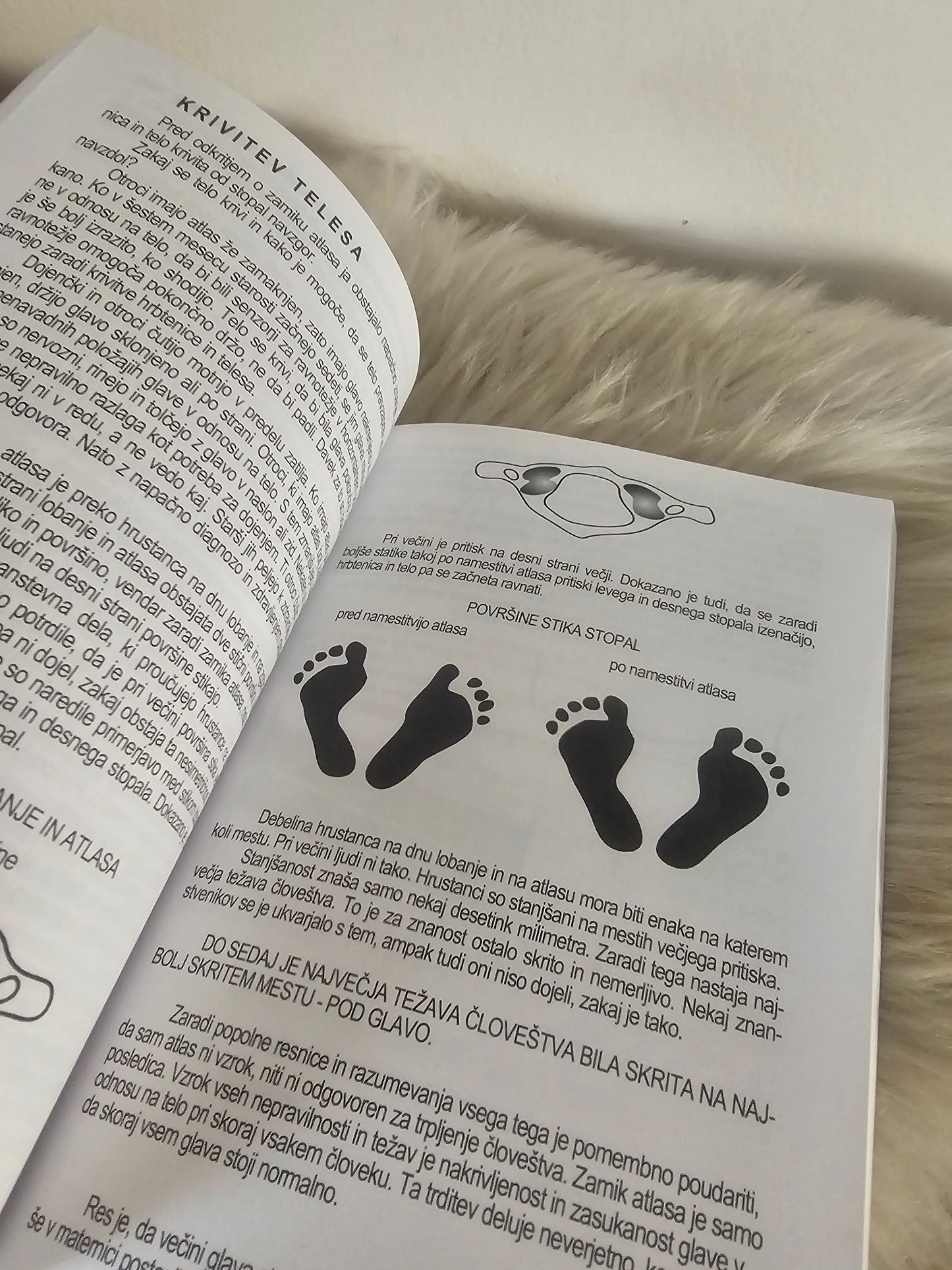 Namestitev atlasa Predrag Djordjević