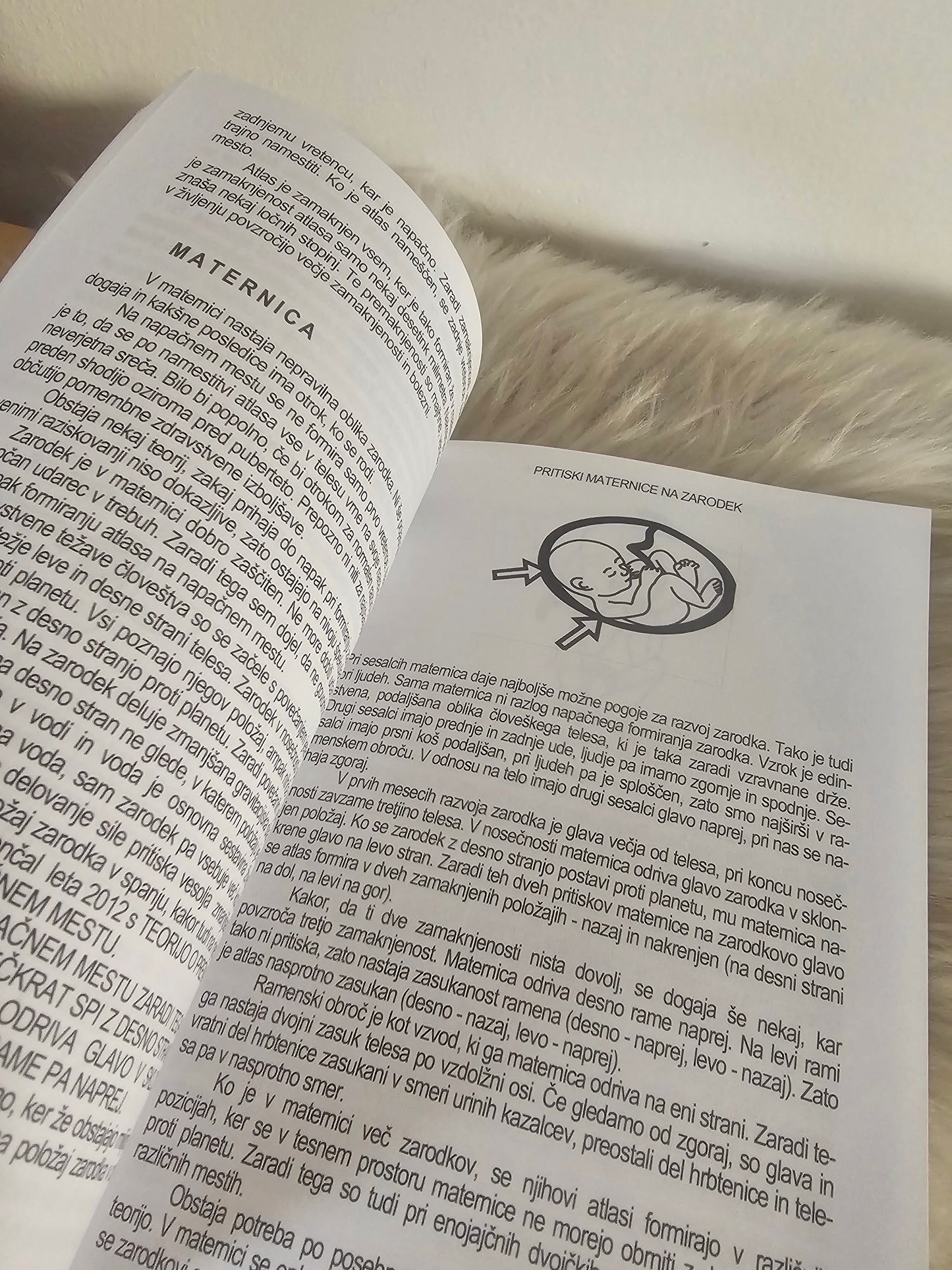 Namestitev atlasa Predrag Djordjević