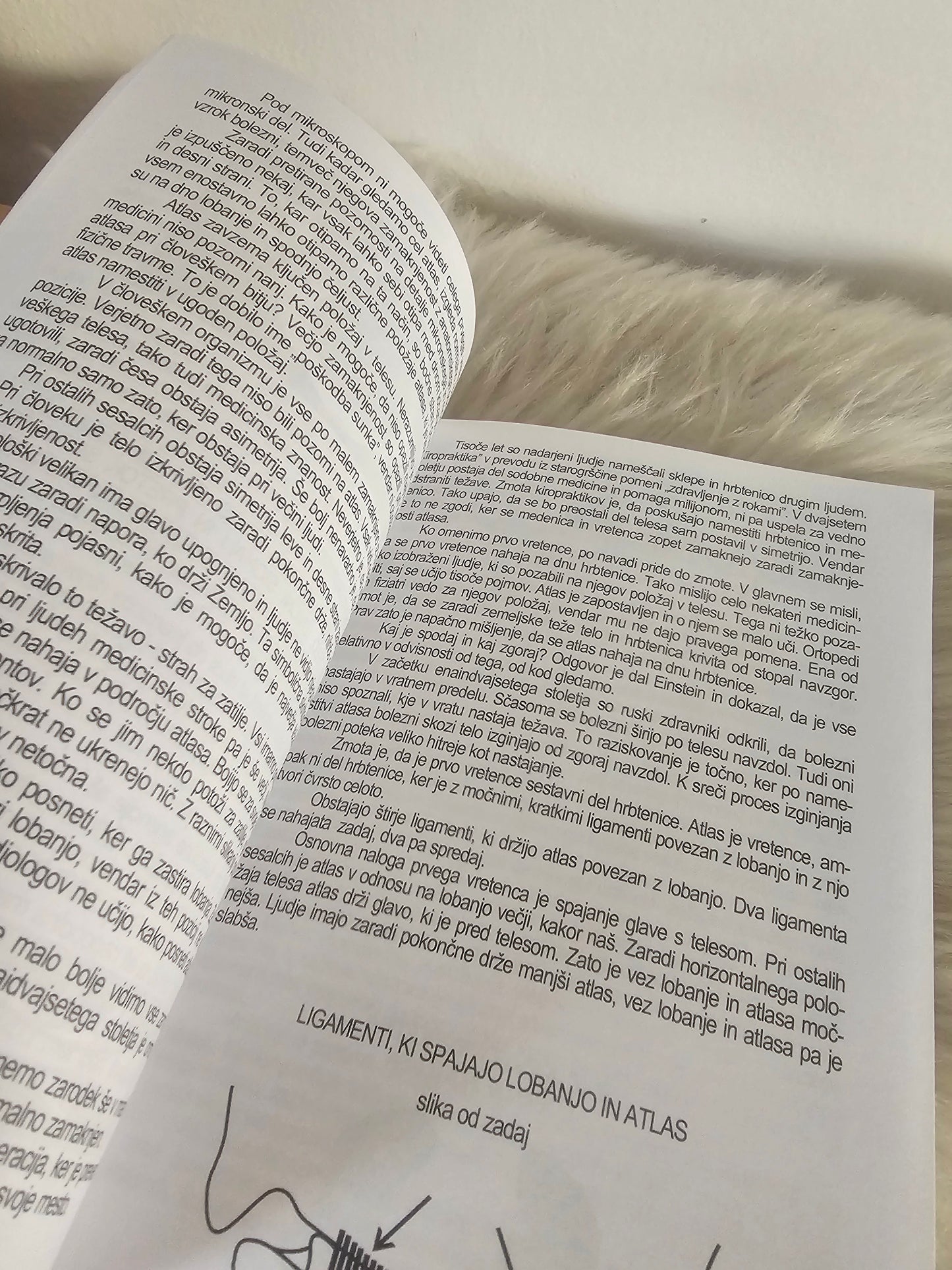 Namestitev atlasa Predrag Djordjević