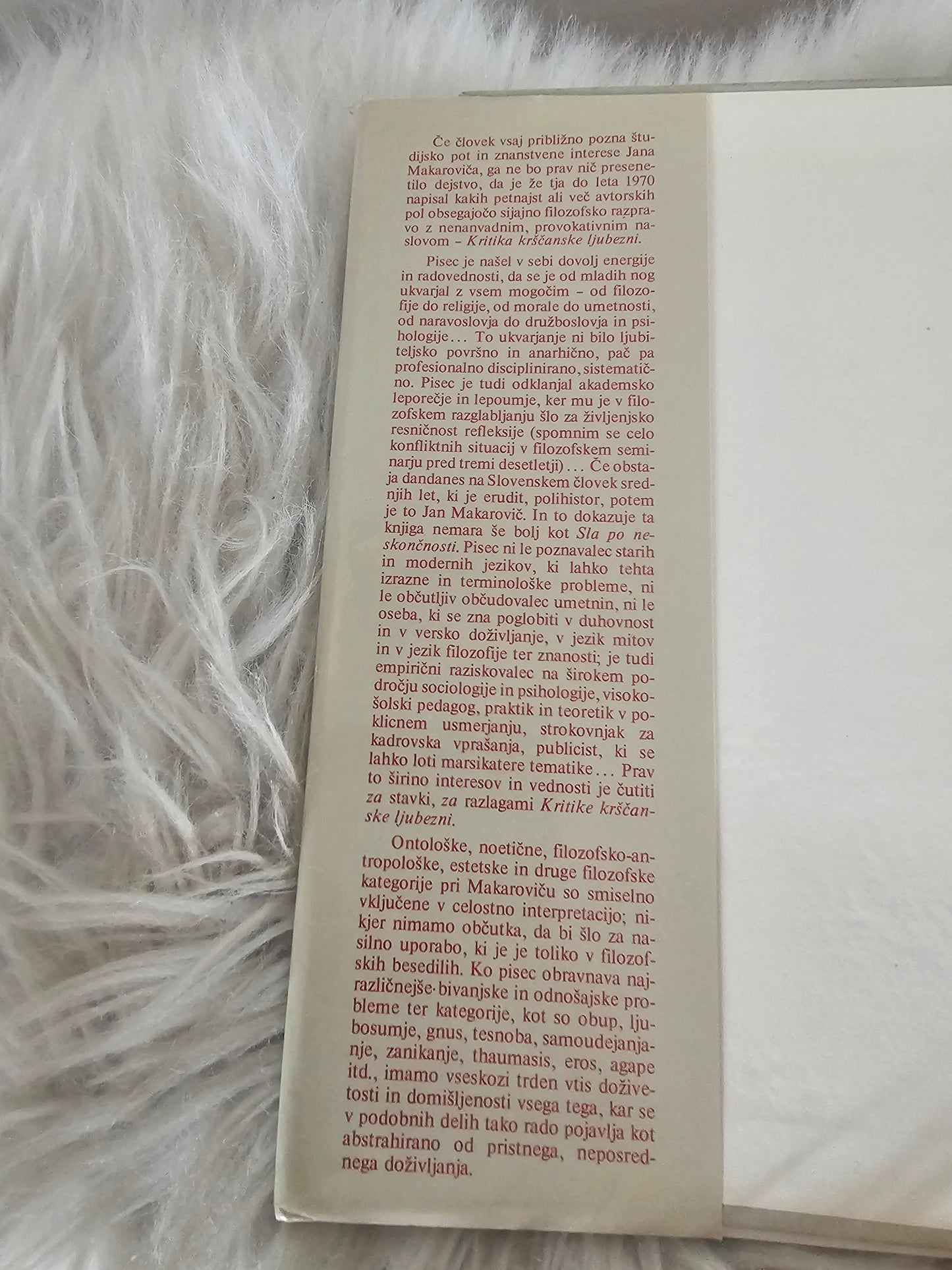 Kritika krščanske ljubezni Jan Makarovič