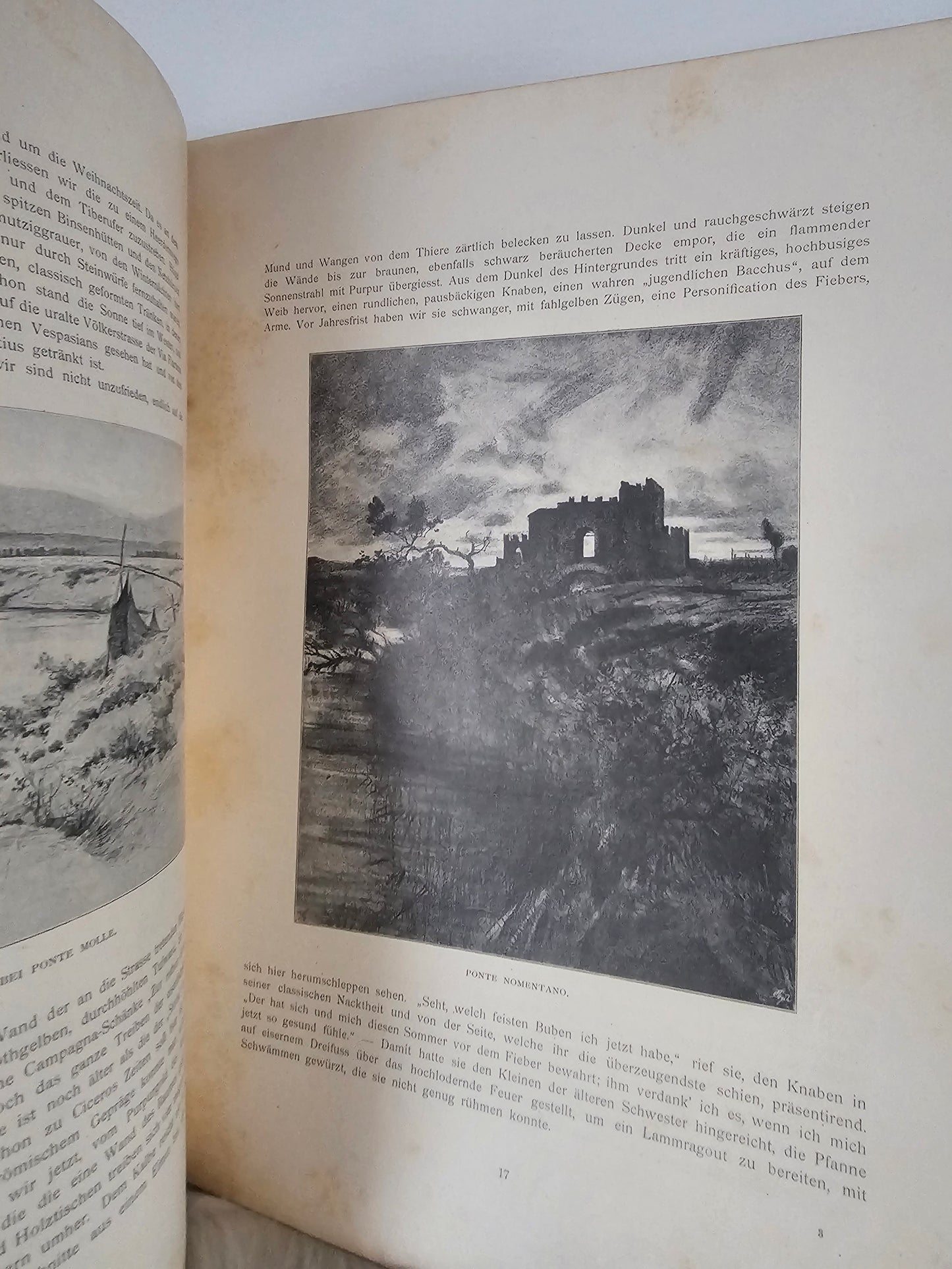 Rom Reinhold Schoener