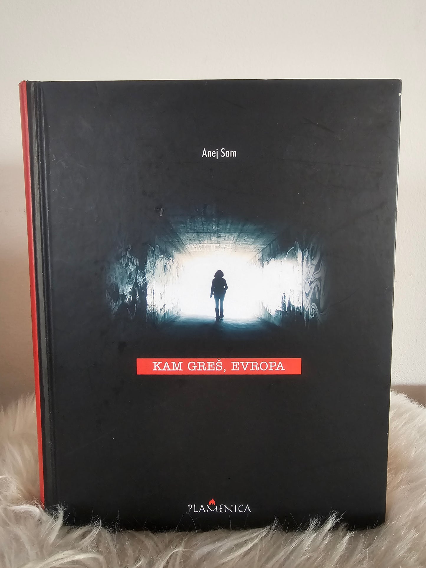 Kam greš Evropa Anej Sam