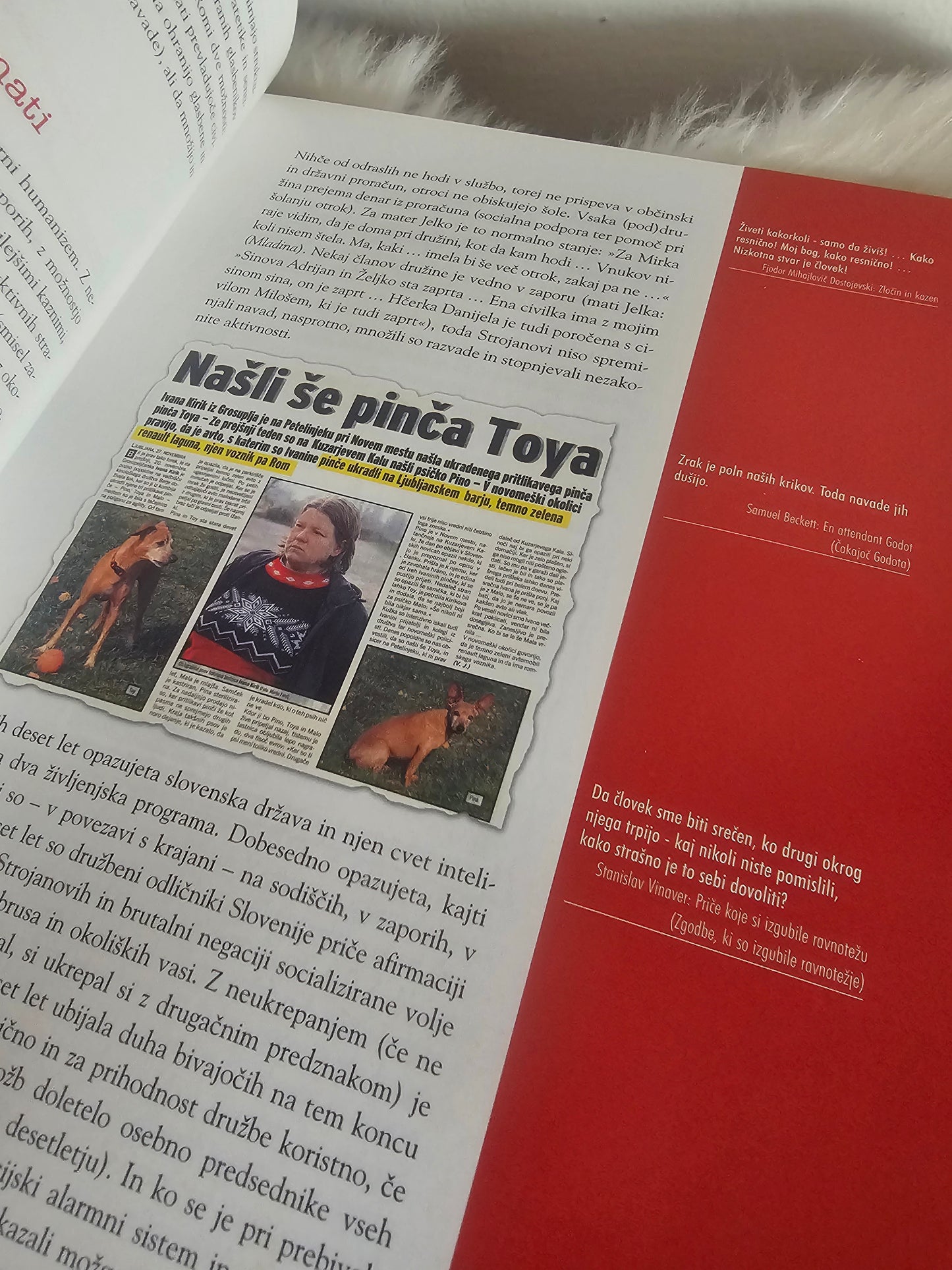 Kam greš Evropa Anej Sam