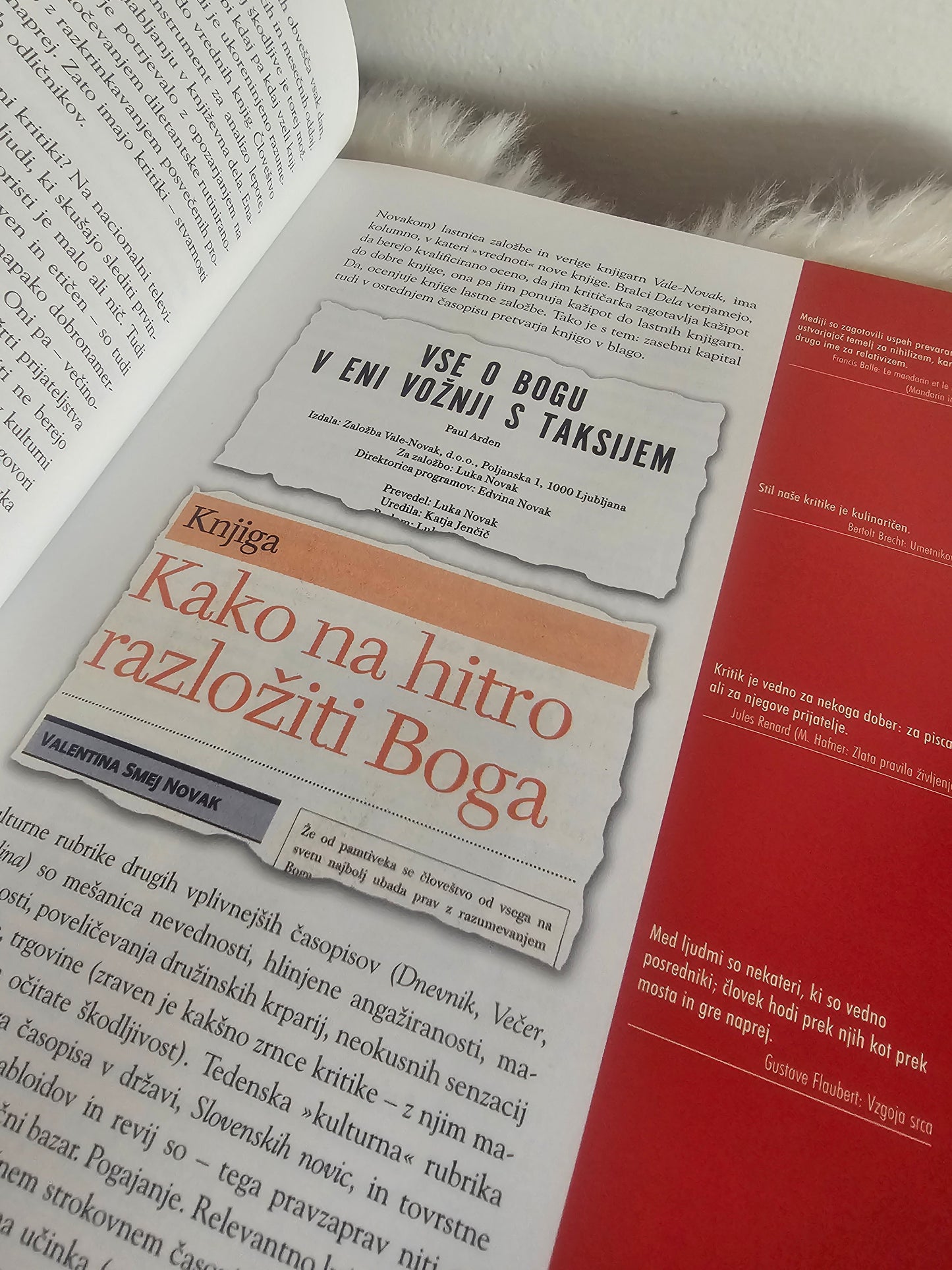 Kam greš Evropa Anej Sam