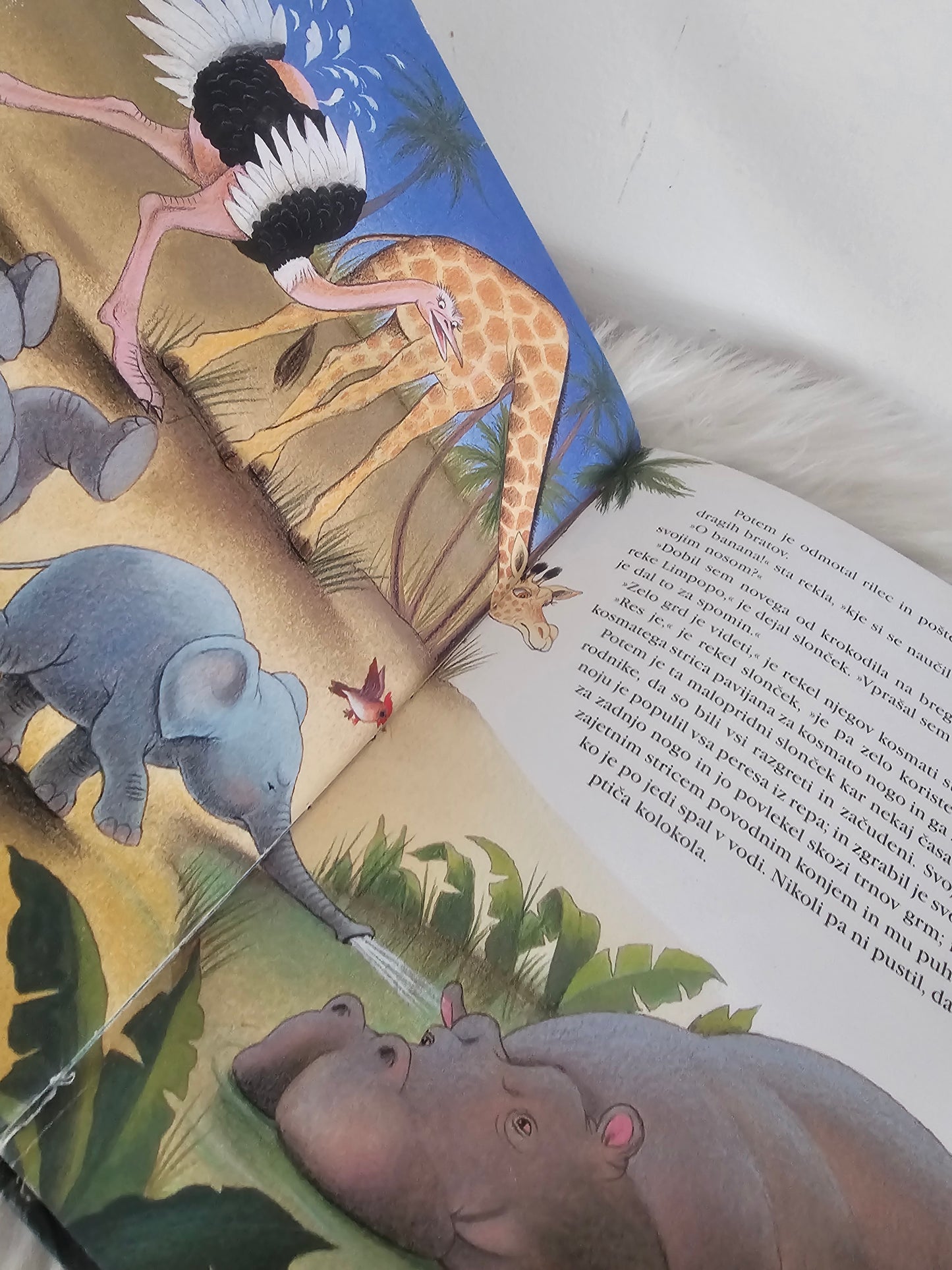 Slonček Rudyard Kipling