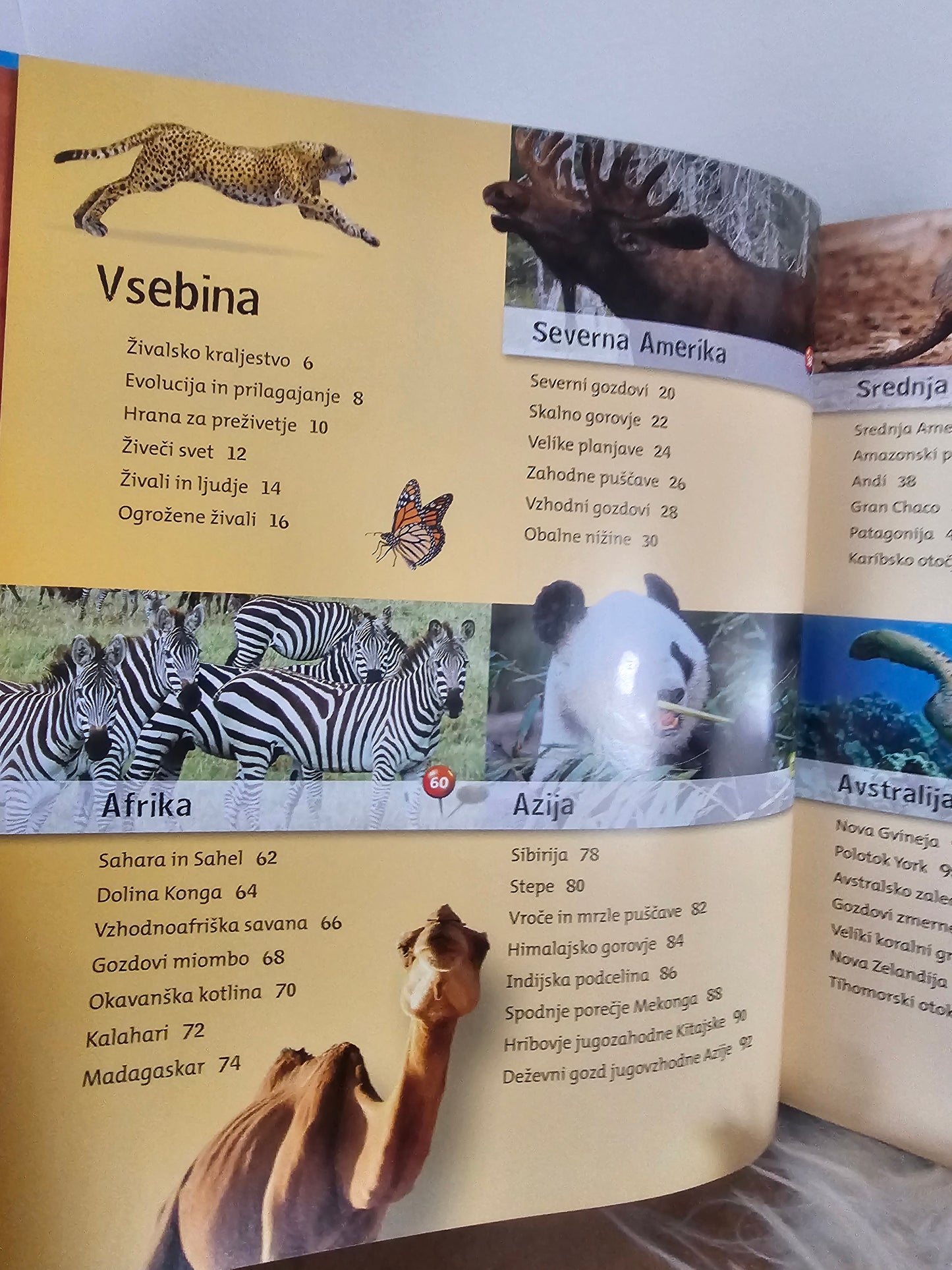 Živalski atlas Animal planet Mladinska knjiga