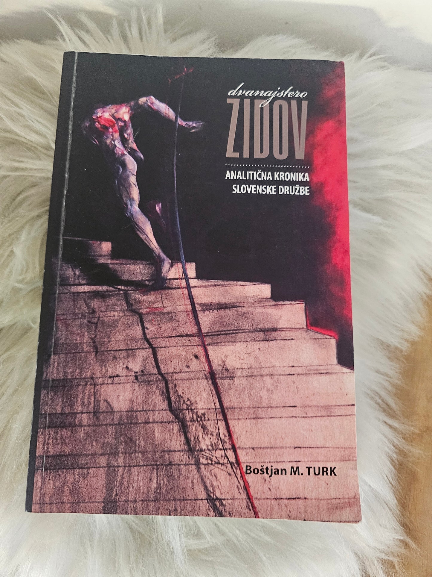 Dvanajstero zidov analitična kronika slovenske družbe Boštjan M. Turk
