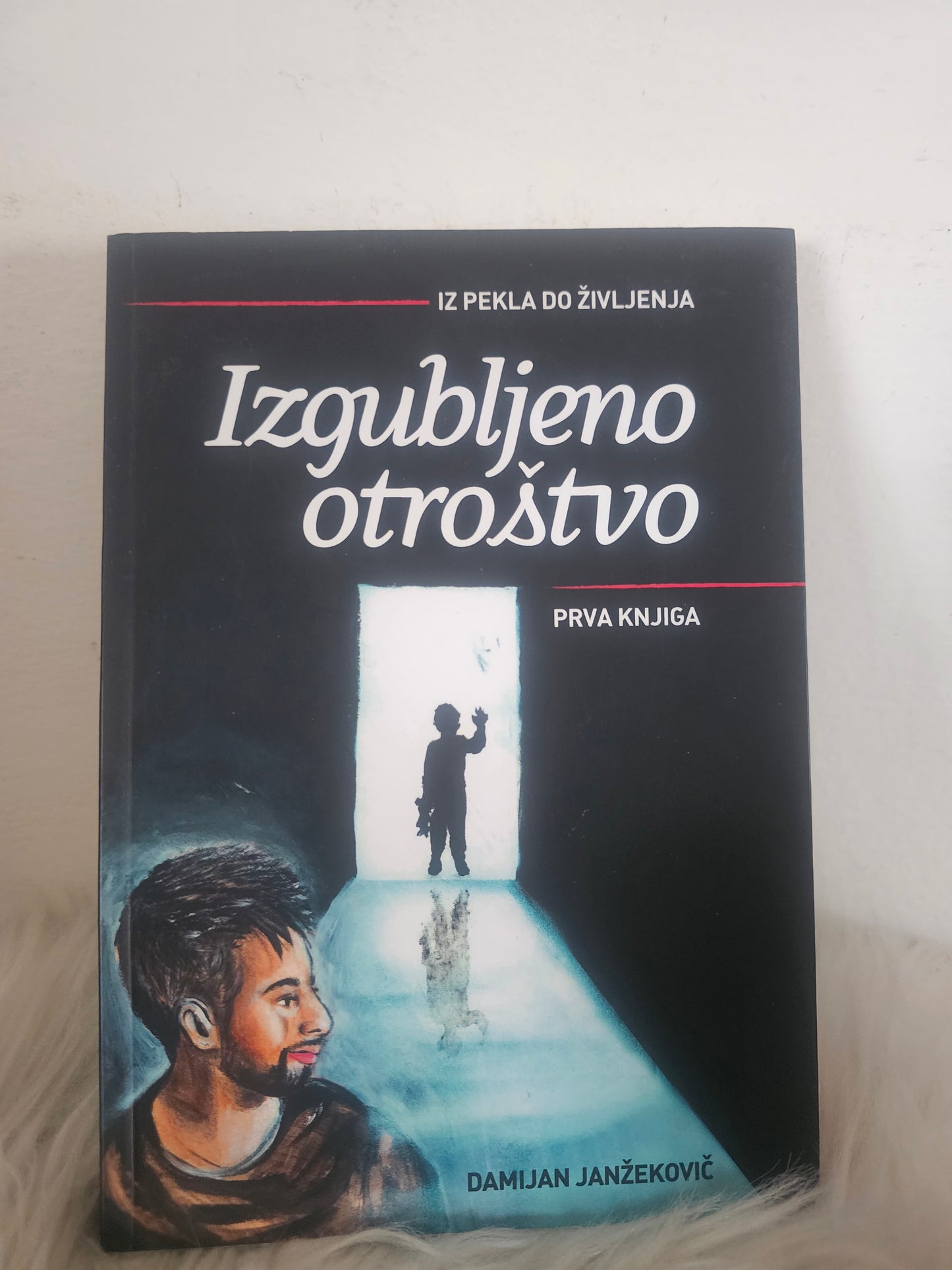 Izgubljeno življenje iz pekla do življenja  Damijan Janžekovič