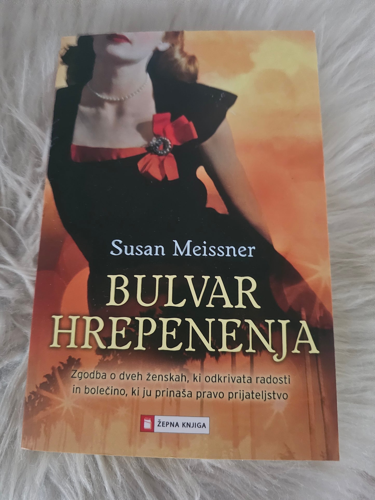 Bulvar hrepenenja Susan Meissner