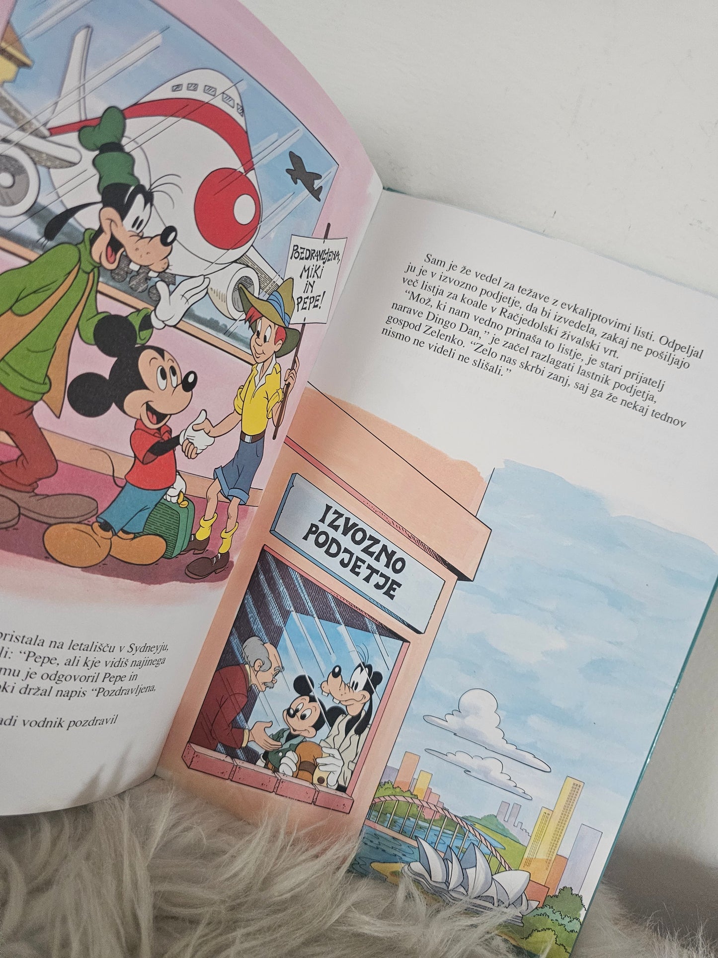 Listje za koale Pustolovščina v Avstraliji  Svetovni popotnik Disney