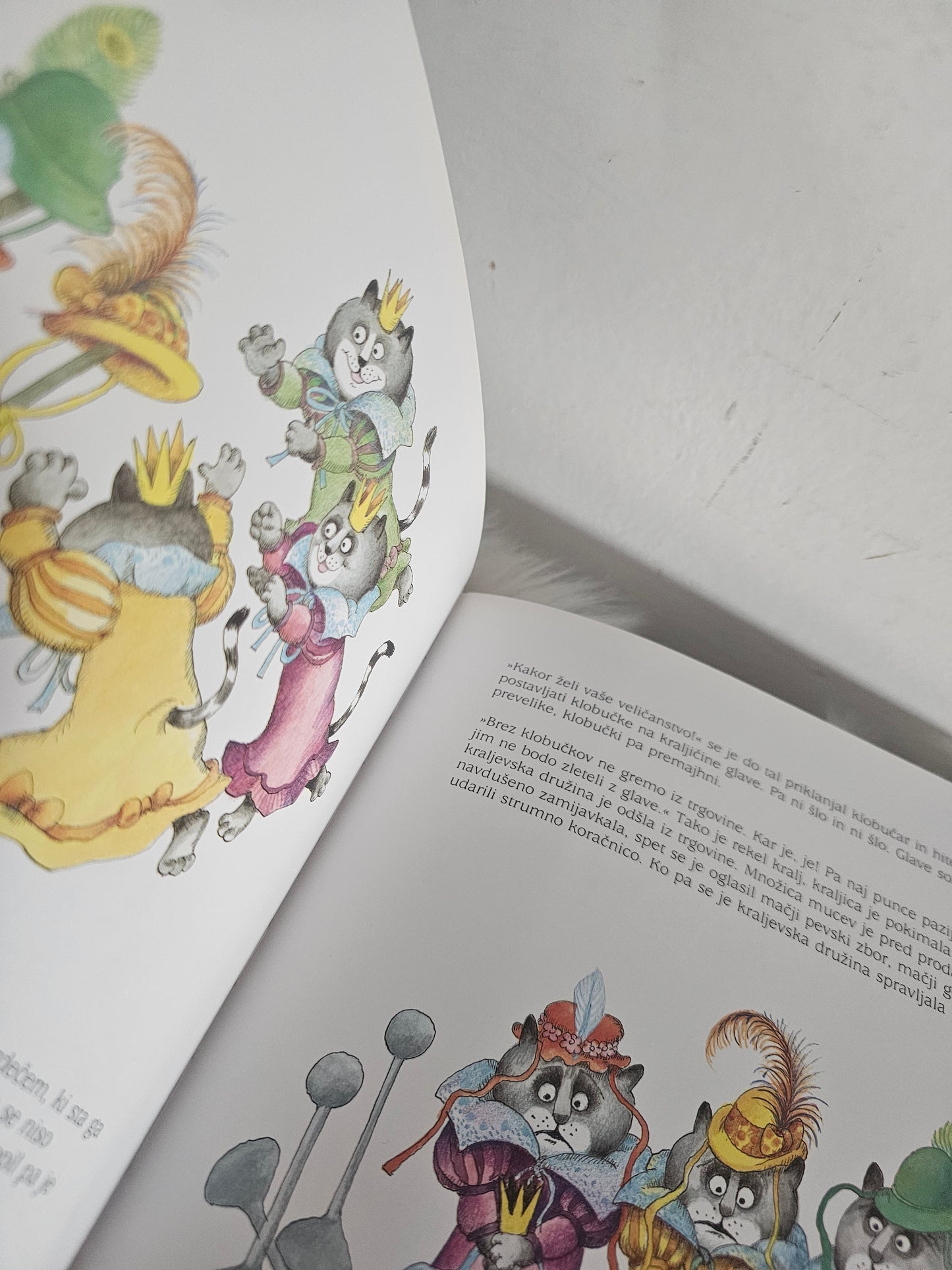 3 Mucini klobučki Janez Bitenc