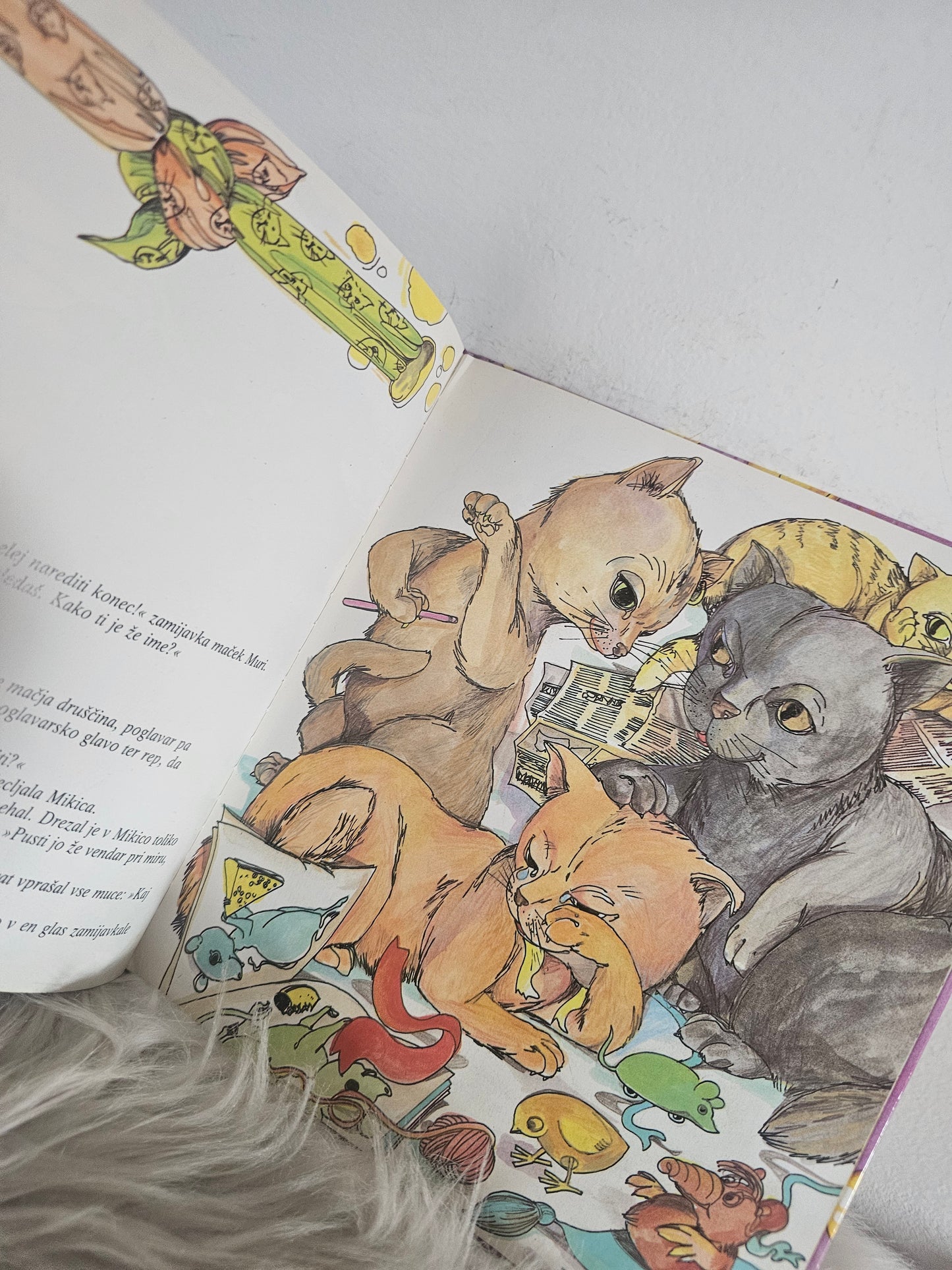 Kje si miška? Janez Bitenc