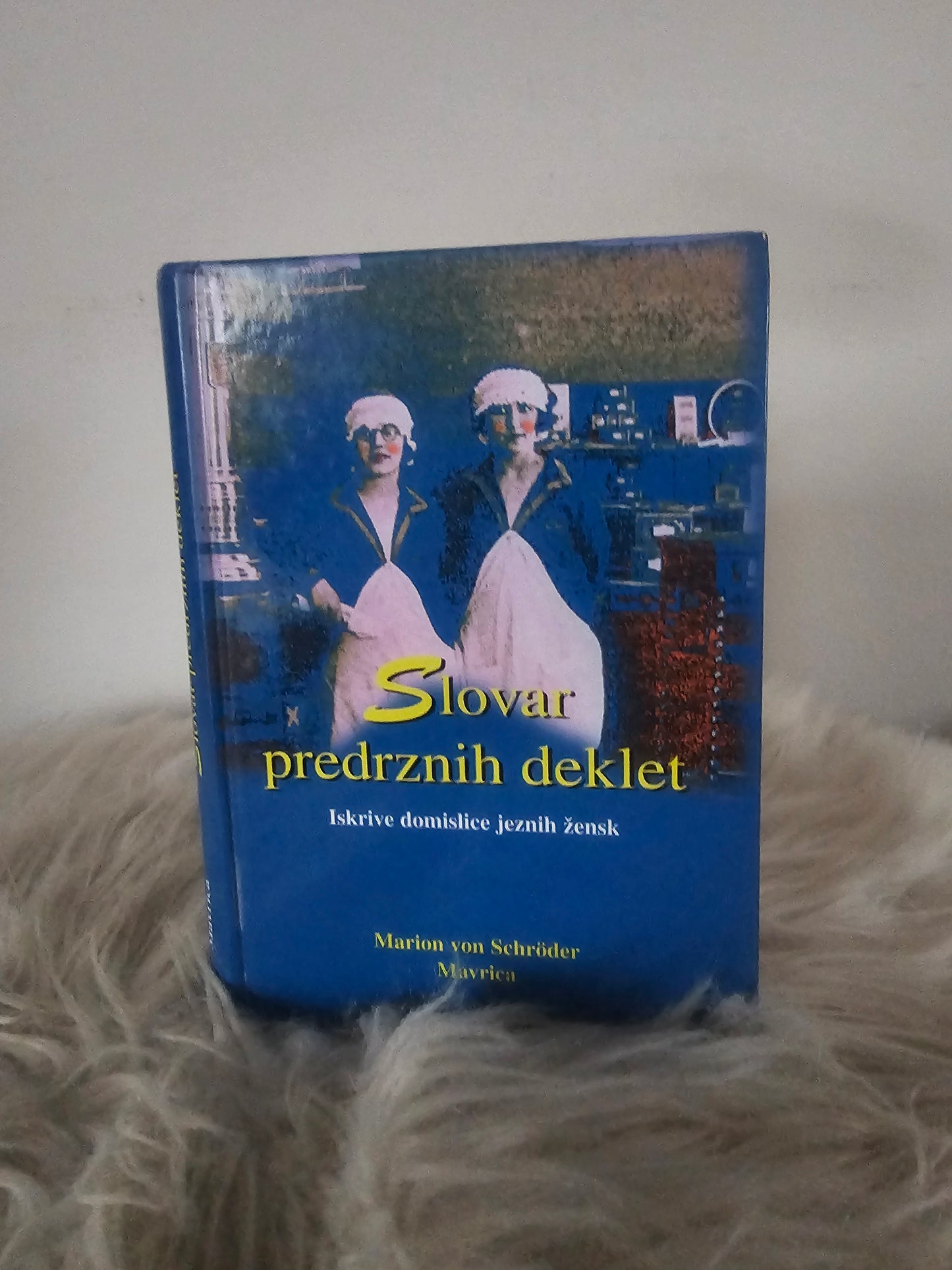 Slovar predrznih deklet več avtorjev