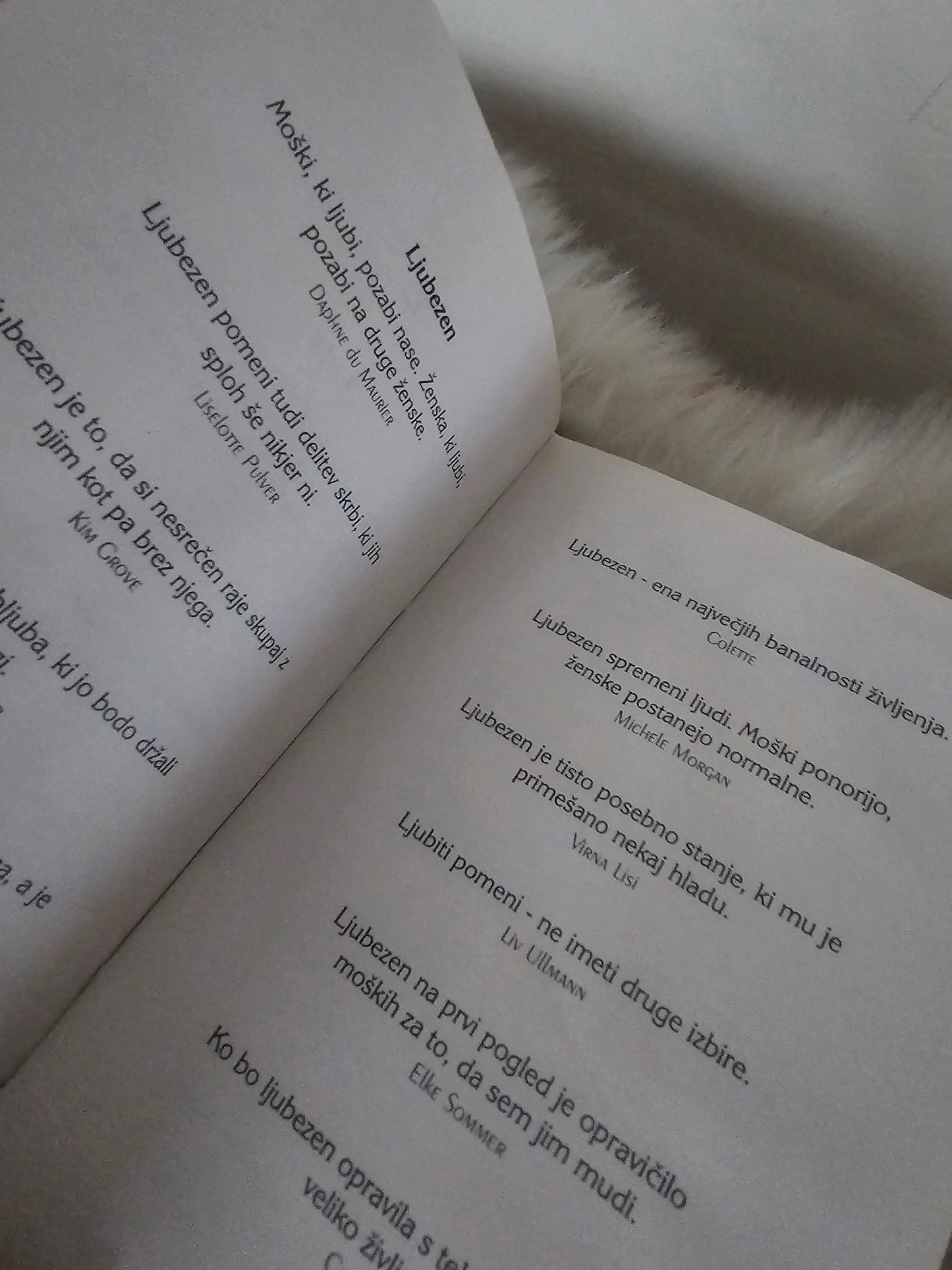 Slovar predrznih deklet več avtorjev