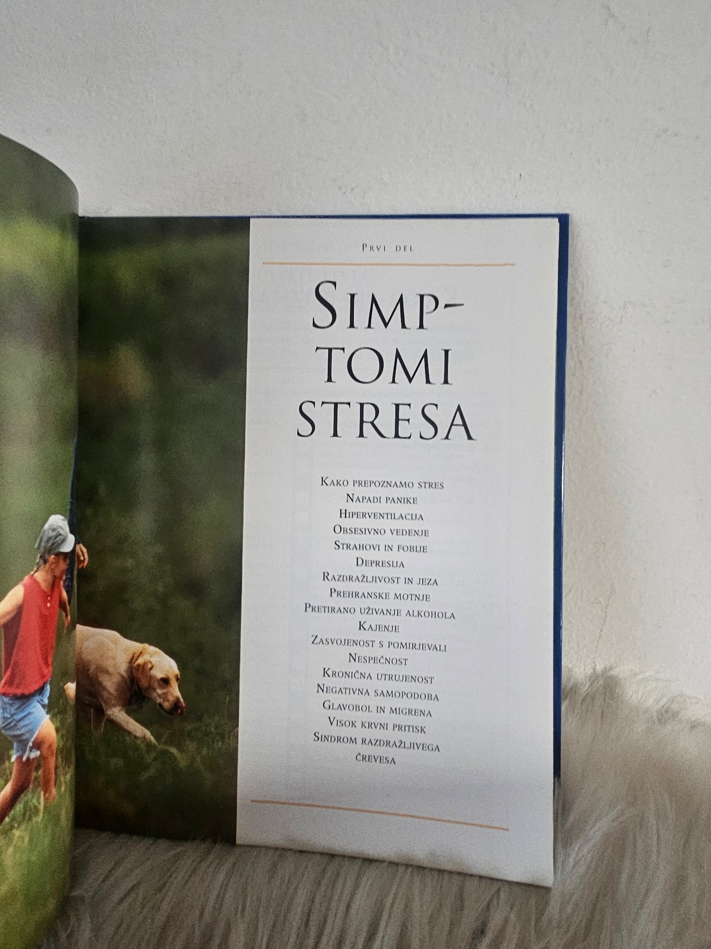 Kako premagamo stres Mladinska knjiga