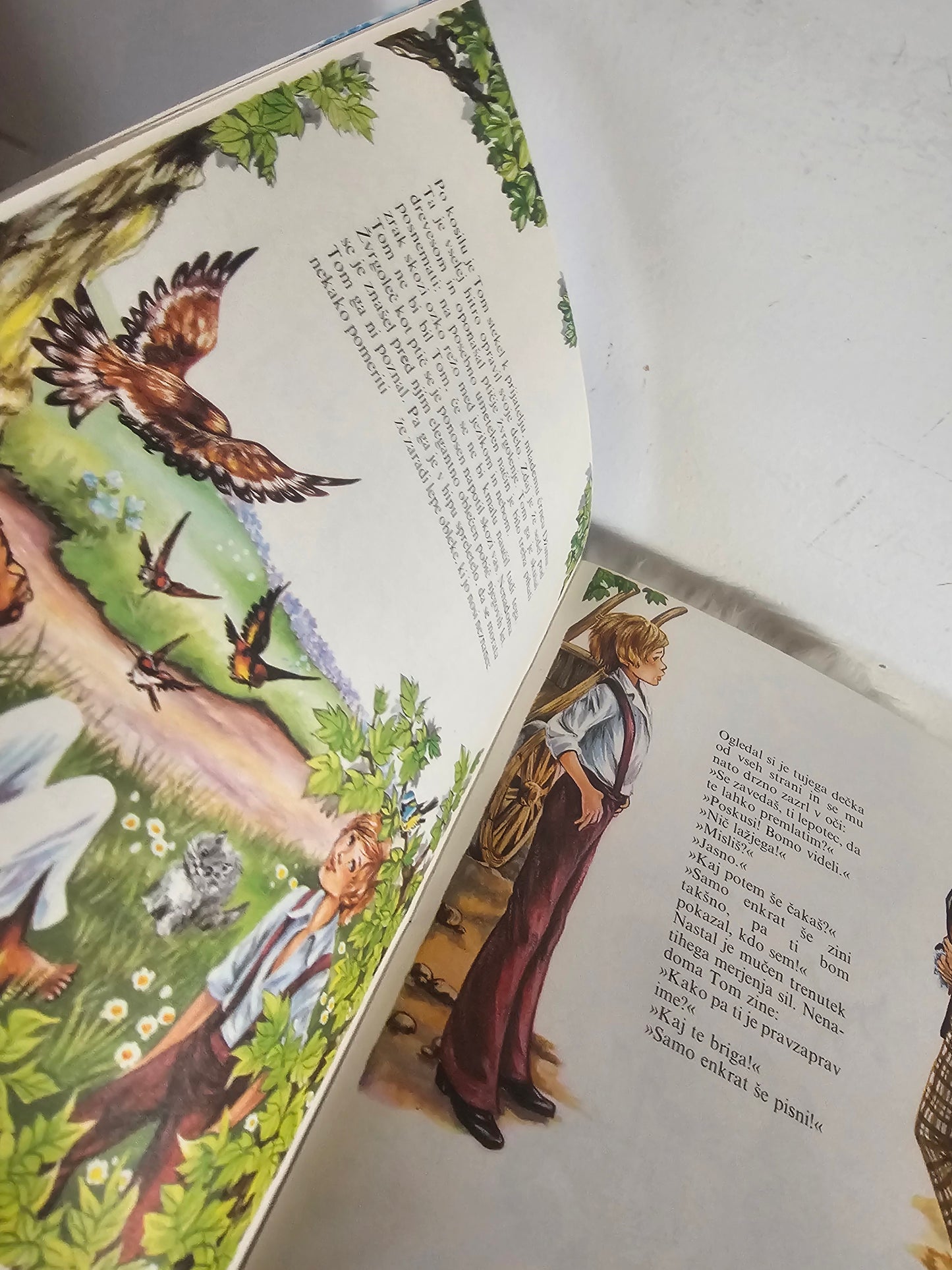 Tomova doživetja in preizkušnje Tom Sawyer
