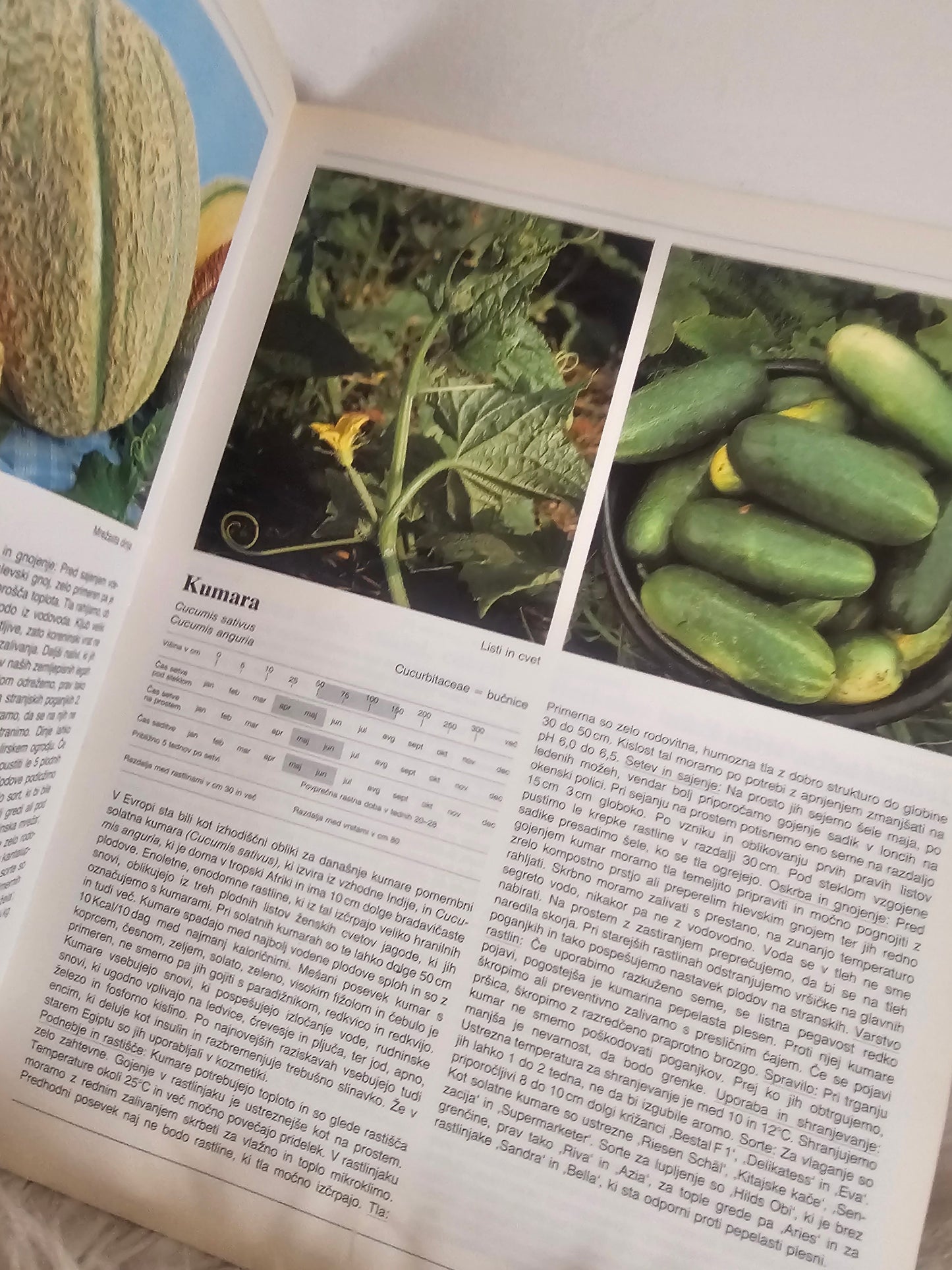 Uporabne rastline več avtorjev