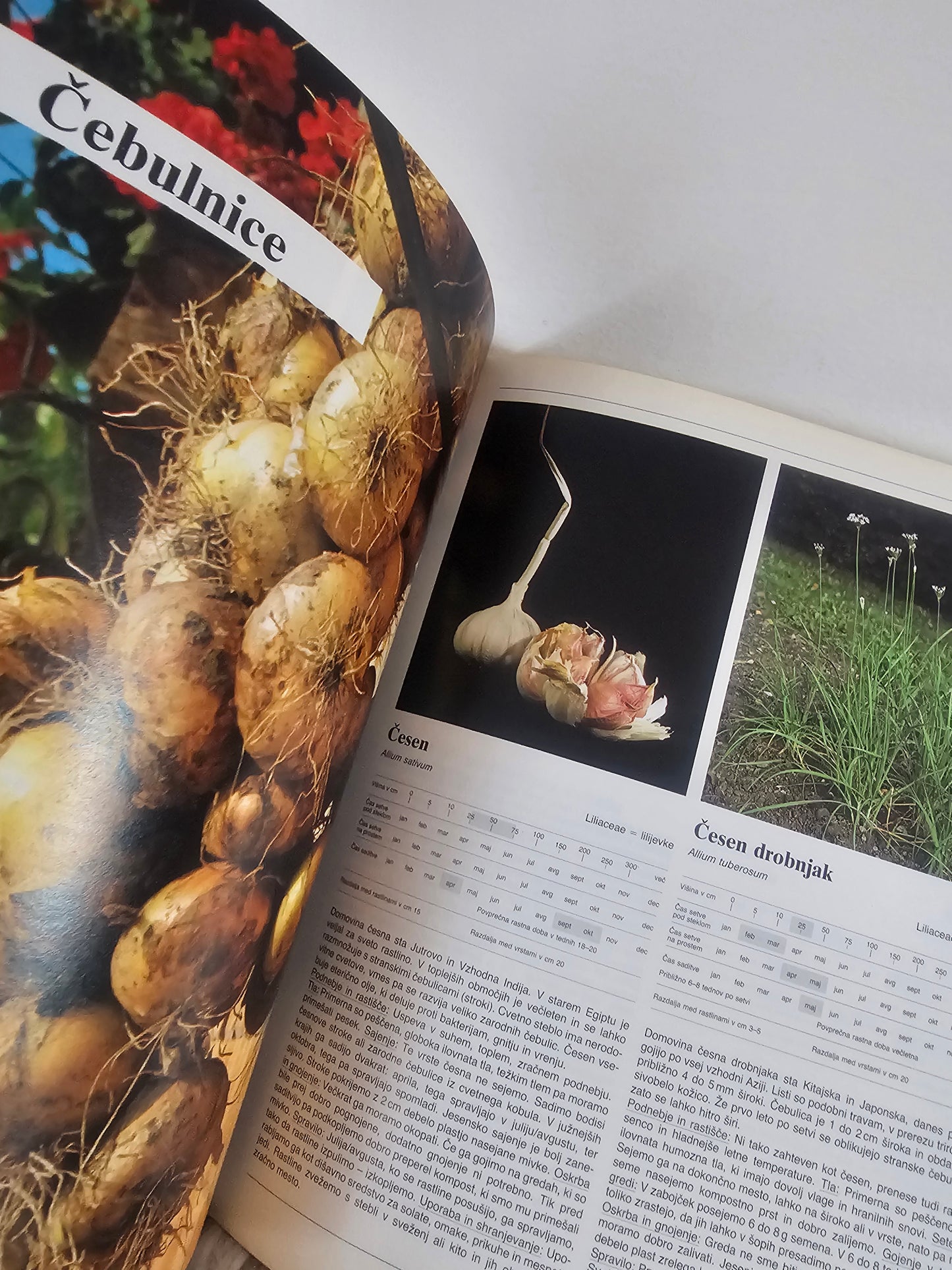 Uporabne rastline več avtorjev