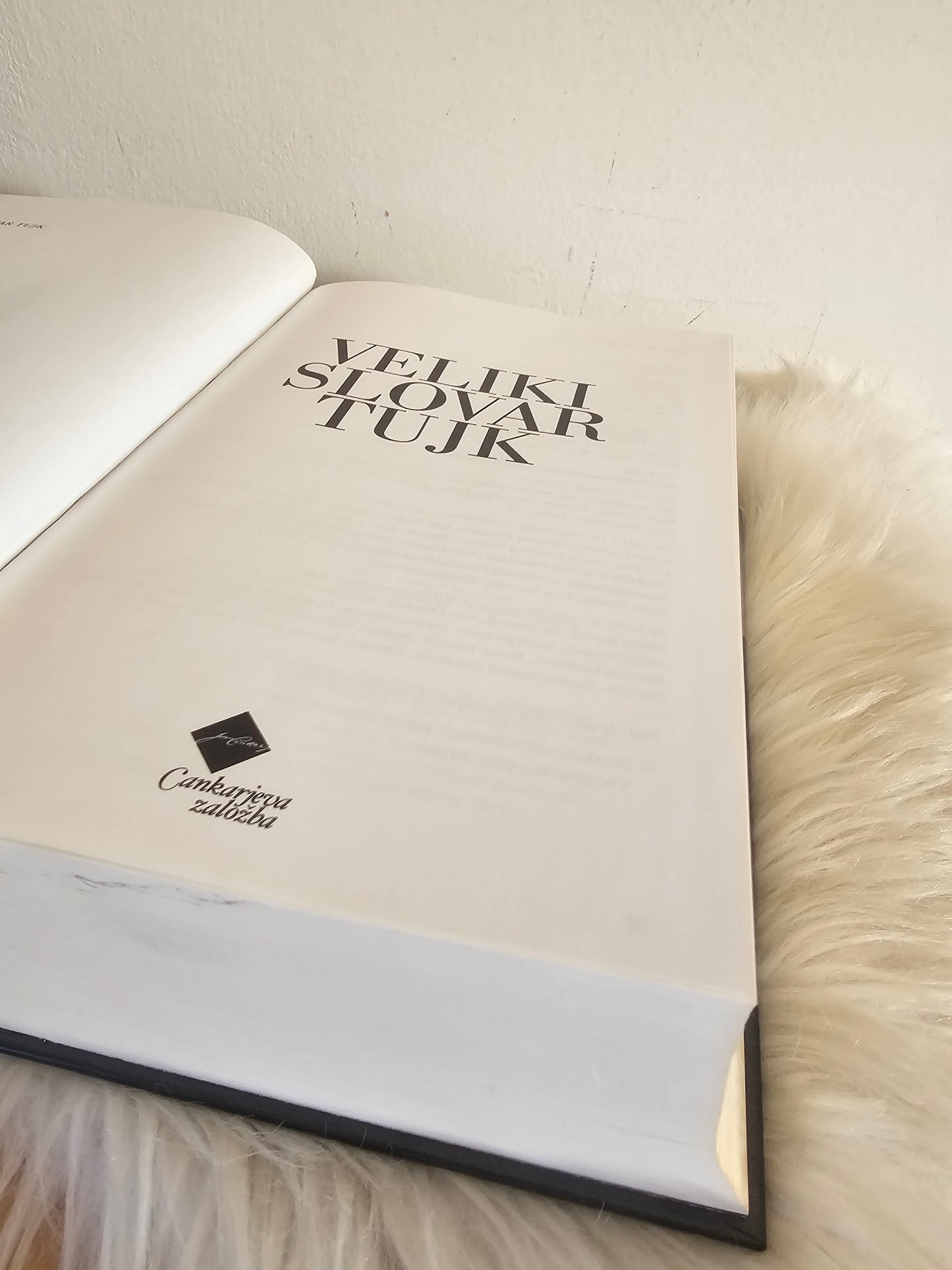 Veliki slovar tujk Cankarjeva Založba