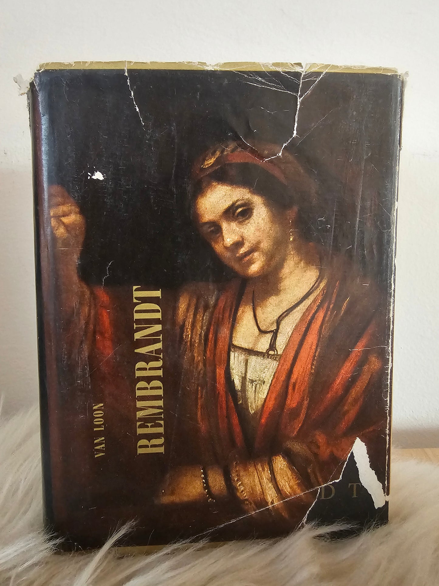 Rembrandt njegovo življenje in njegov čas Hendrik Willem Van Loon