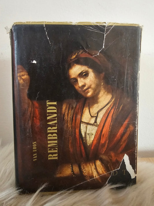 Rembrandt njegovo življenje in njegov čas Hendrik Willem Van Loon