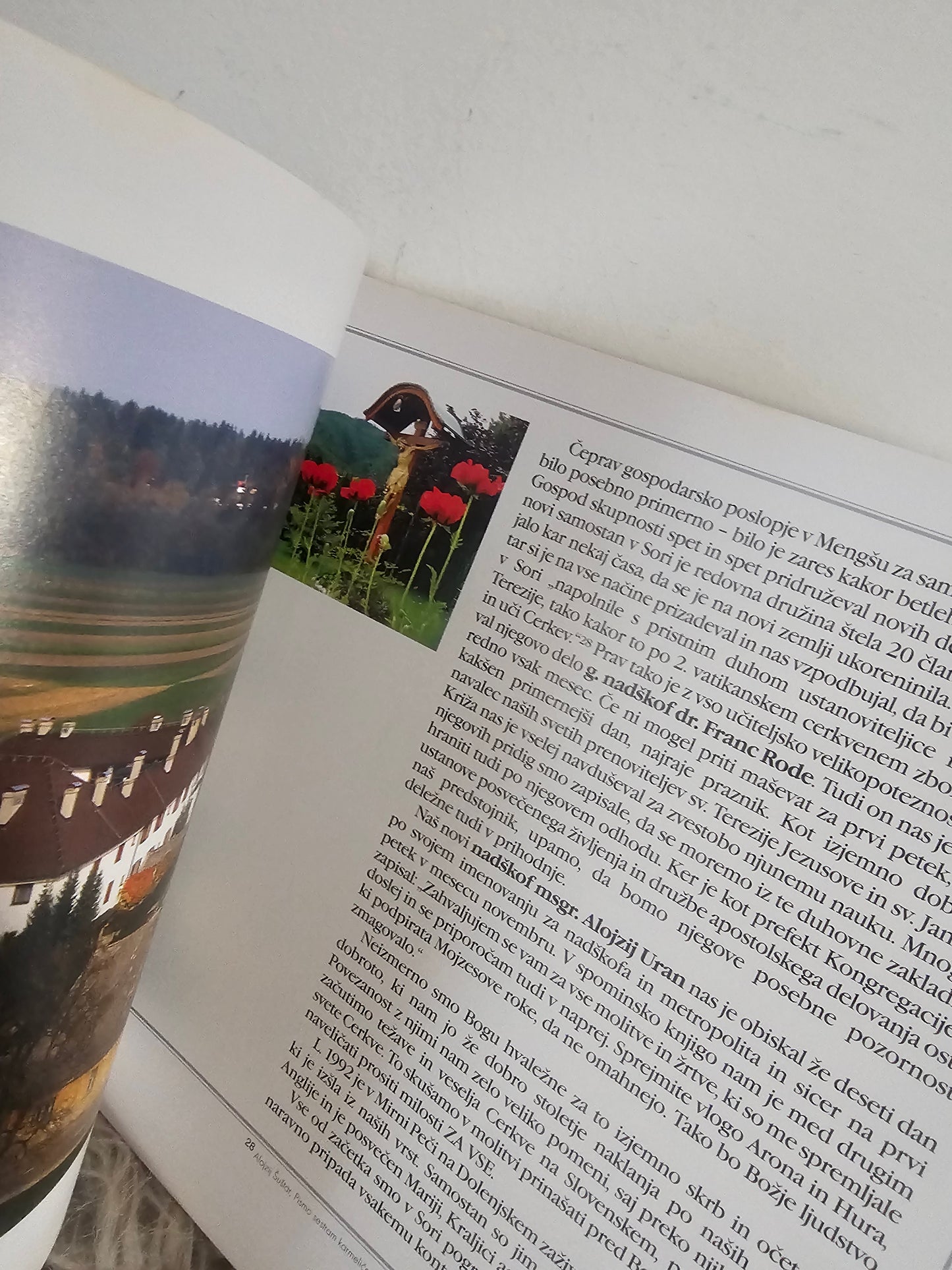 Krasota Karmela ti bo dana Petra Debevc