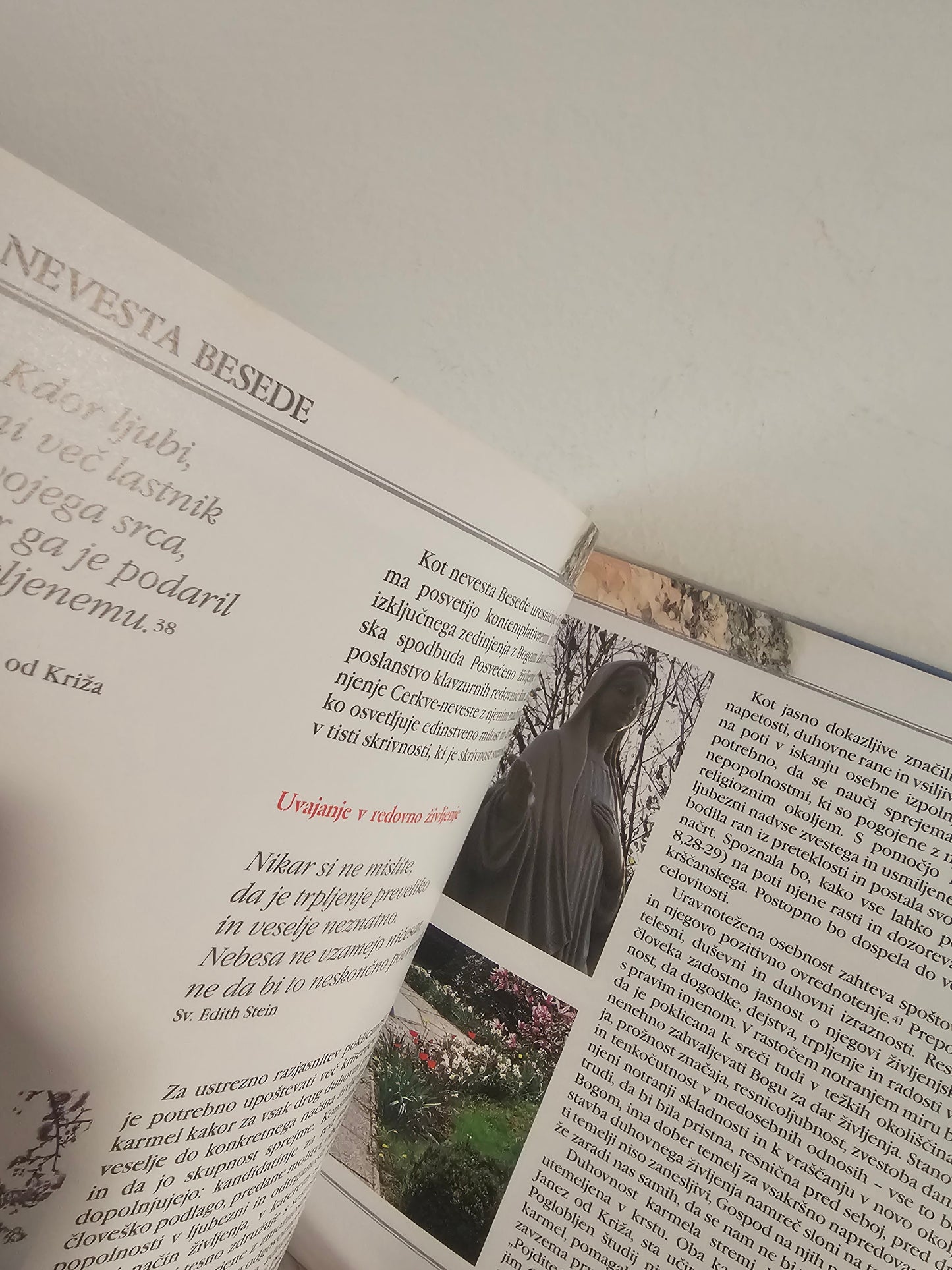 Krasota Karmela ti bo dana Petra Debevc