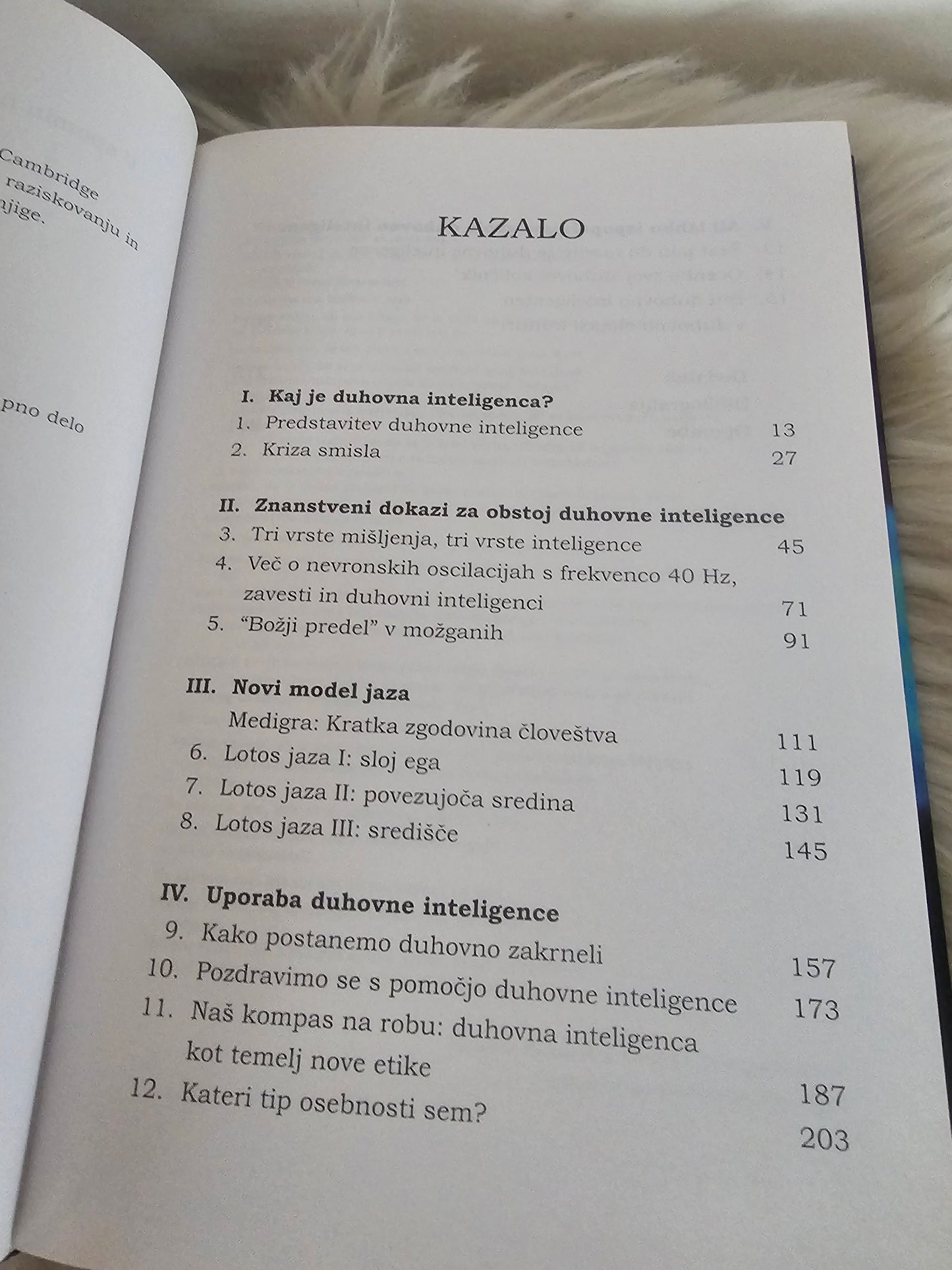 Duhovna inteligenca Danah Zohar in Ian Marshall