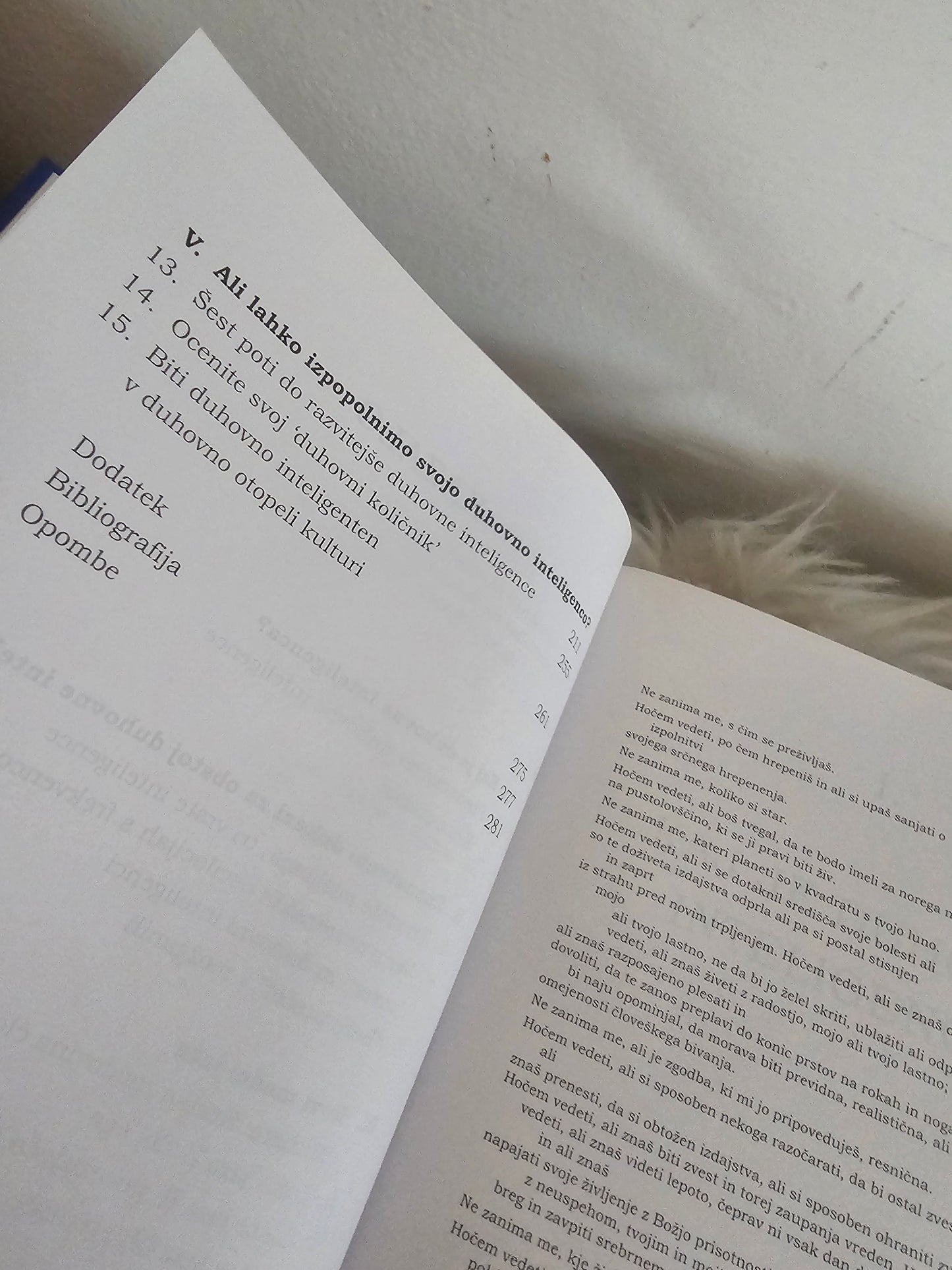 Duhovna inteligenca Danah Zohar in Ian Marshall