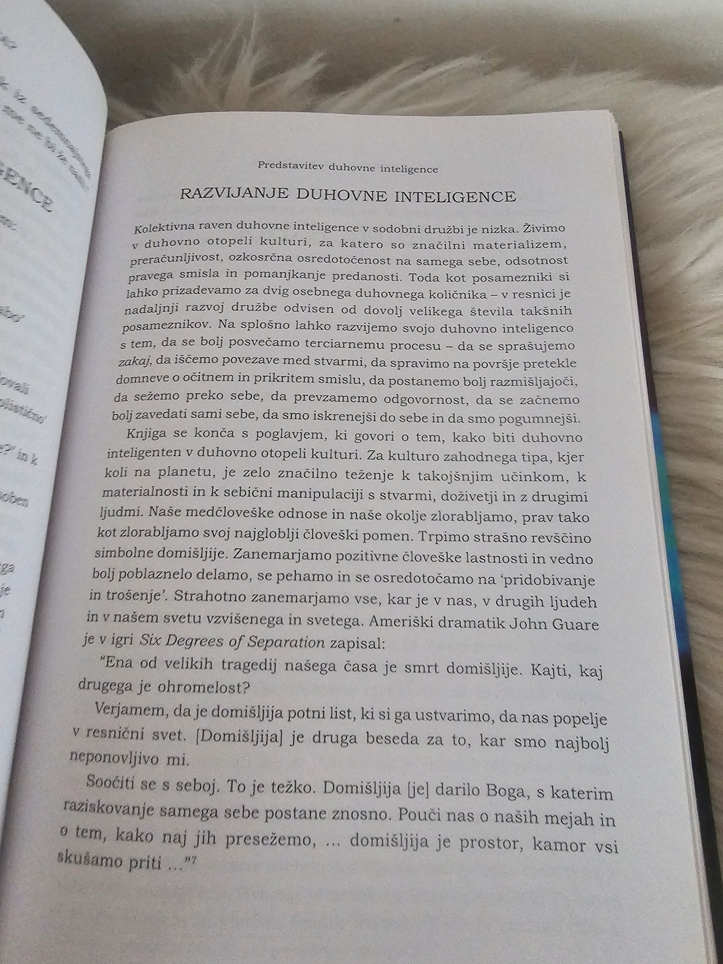 Duhovna inteligenca Danah Zohar in Ian Marshall