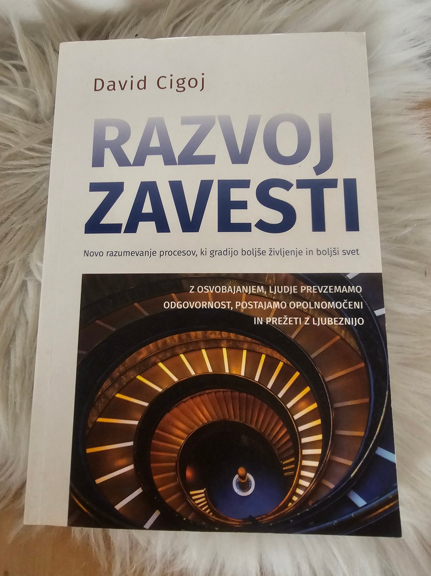 Razvoj zavesti David Cigoj