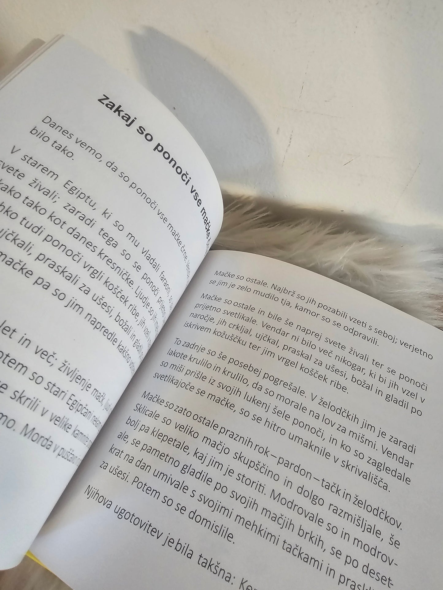 Zgodbe iz pravljičnega vrta Milan Petek Levokov