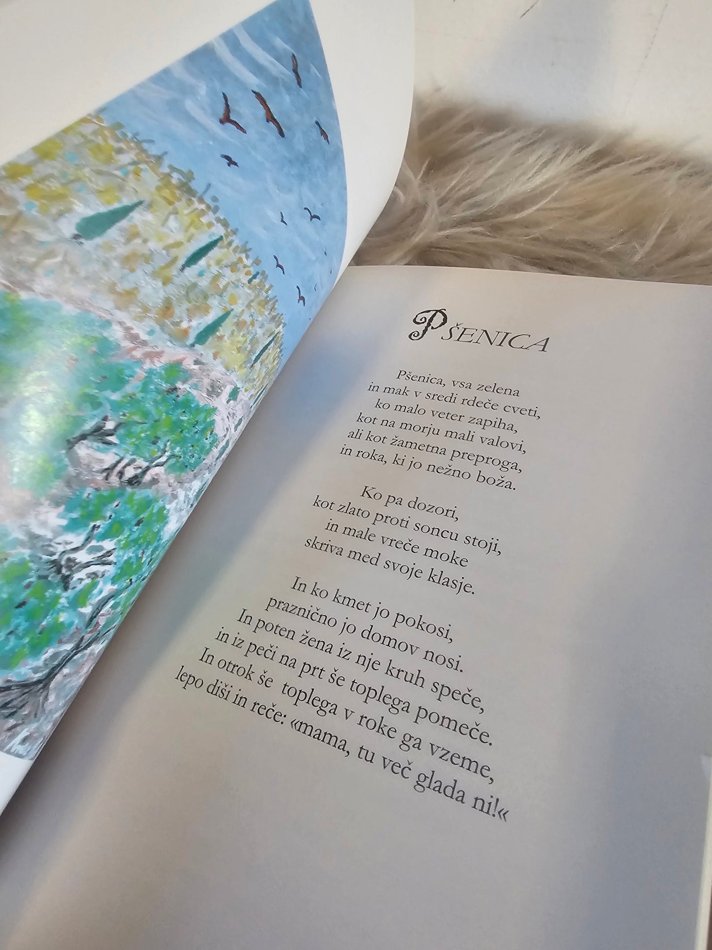 Življenje Rihard Knez