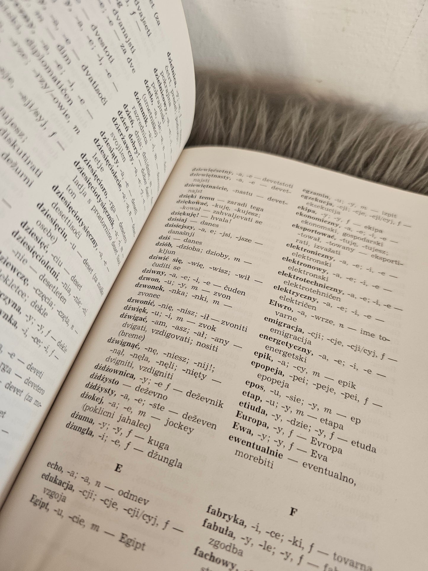 Učbenik poljskega jezik R.Štefan