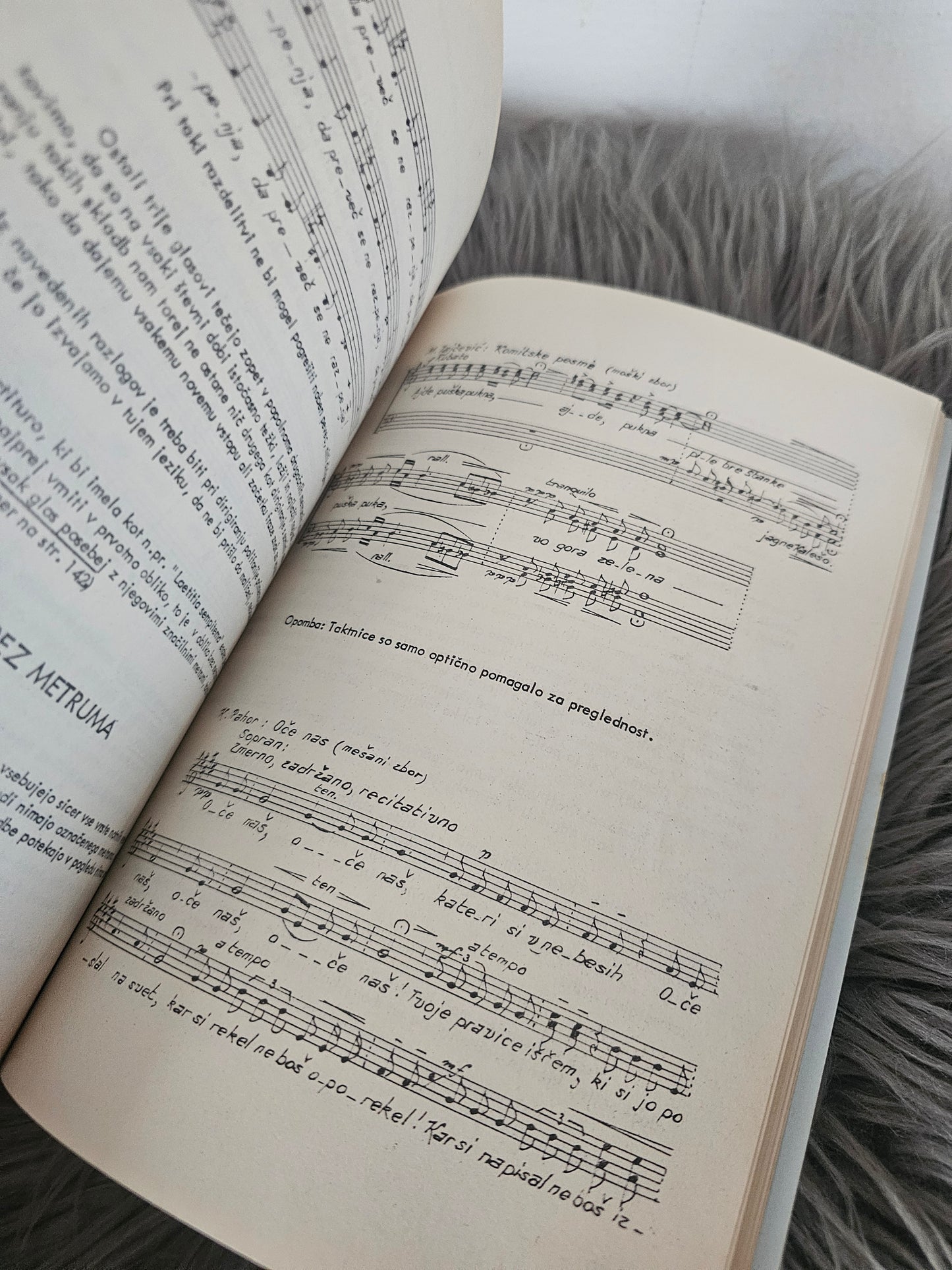 Dirigiranje Radovan Gobec