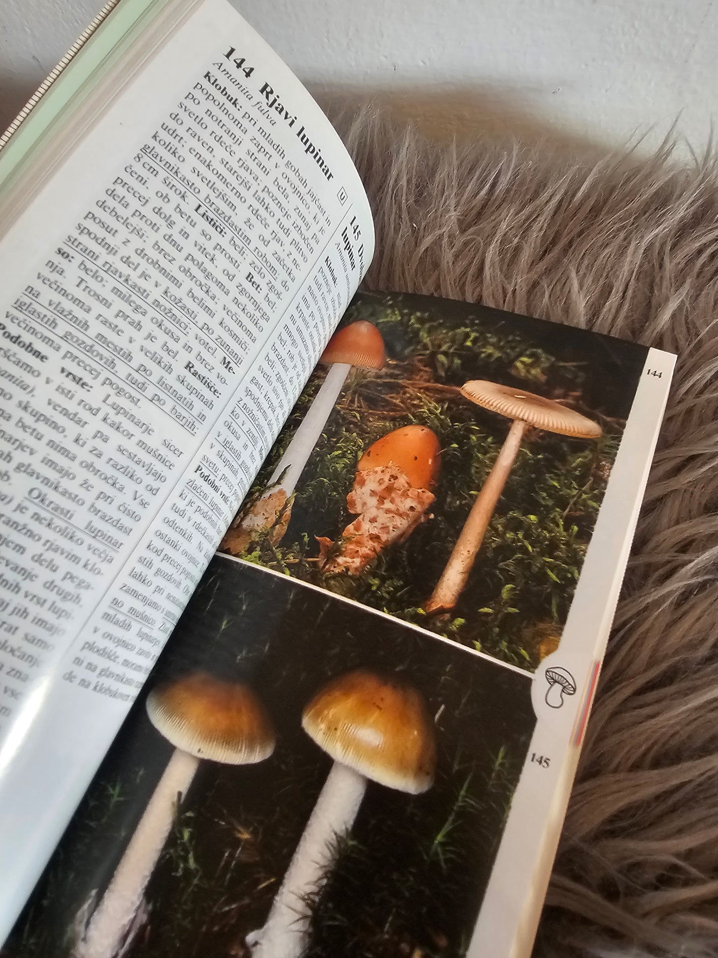 Gobe žepni gobarski vodnik Edmund Garnweider