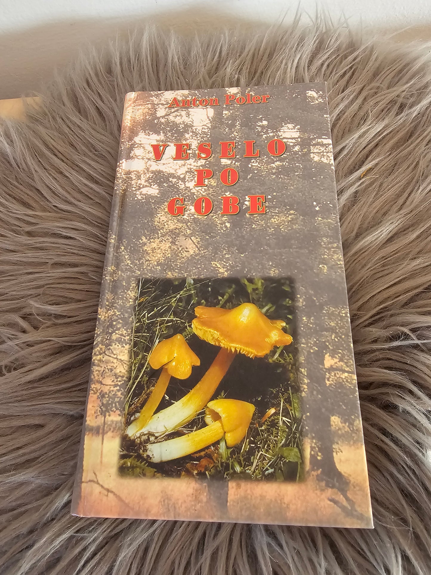 Veselo po gobe Anton Poler