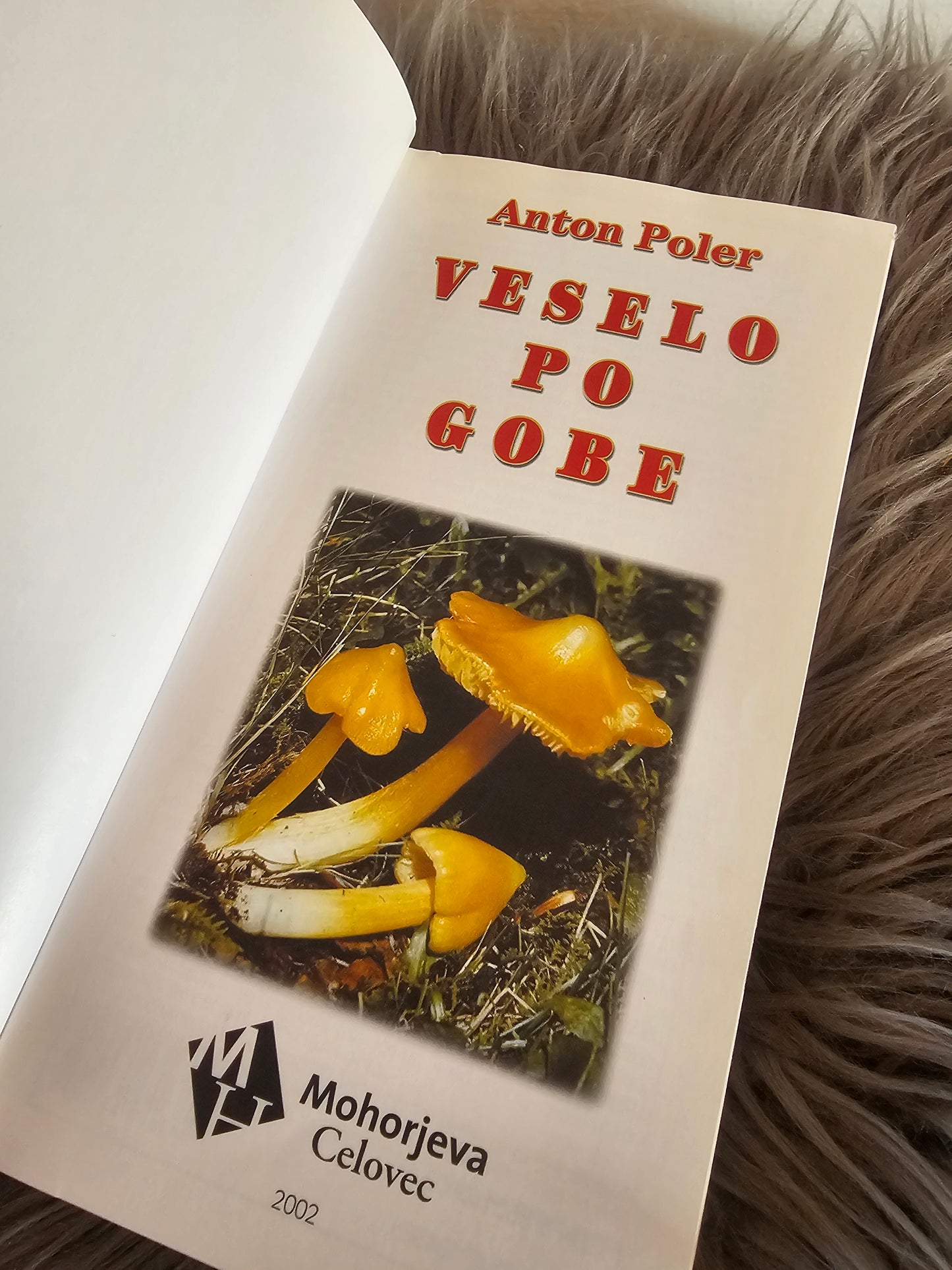 Veselo po gobe Anton Poler