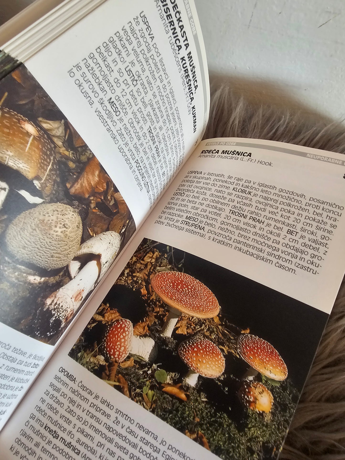 Veselo po gobe Anton Poler