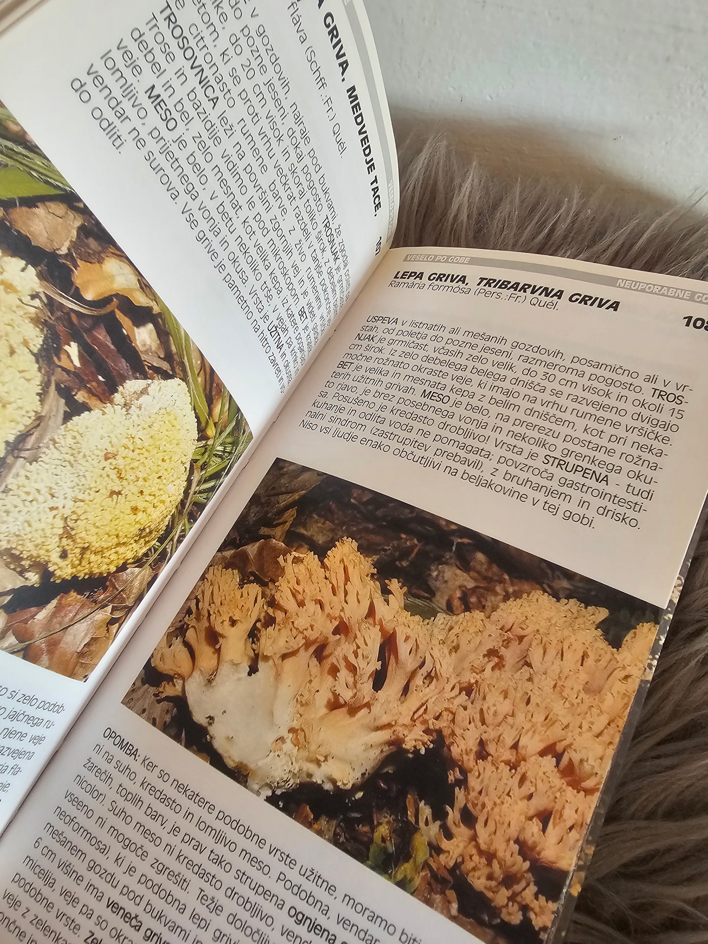 Veselo po gobe Anton Poler