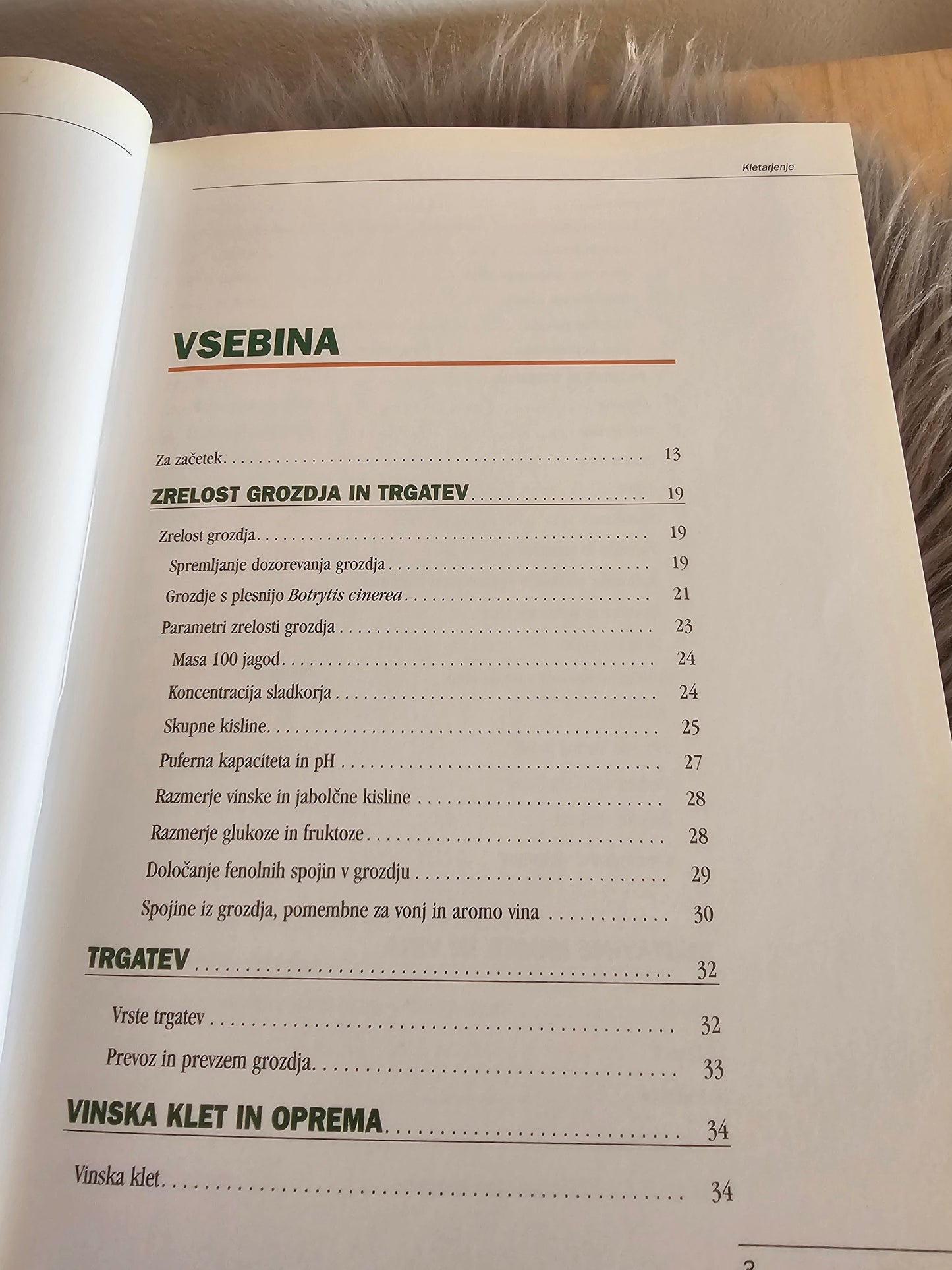 Kletarjenje danes Dejan Bavčar