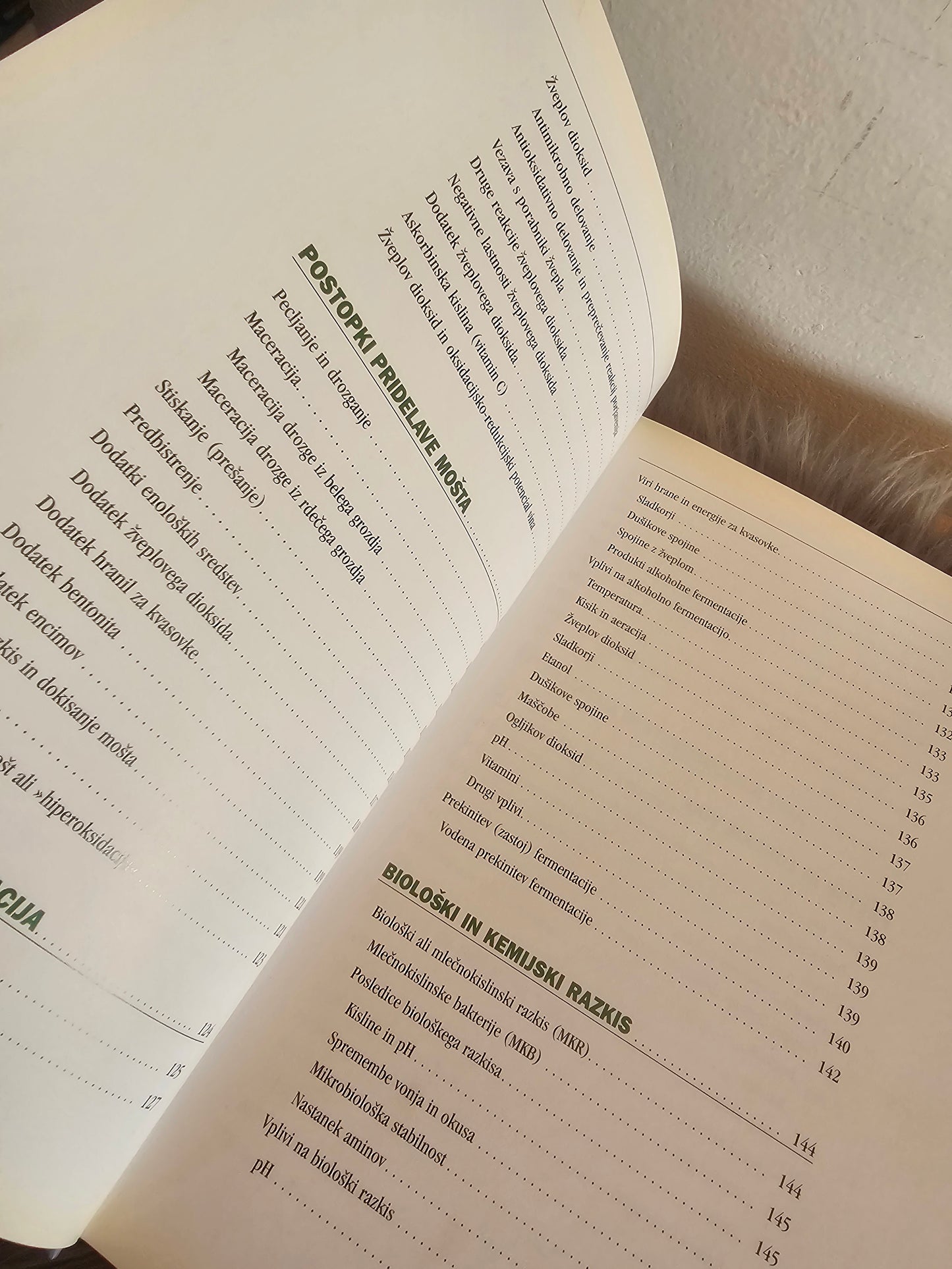 Kletarjenje danes Dejan Bavčar