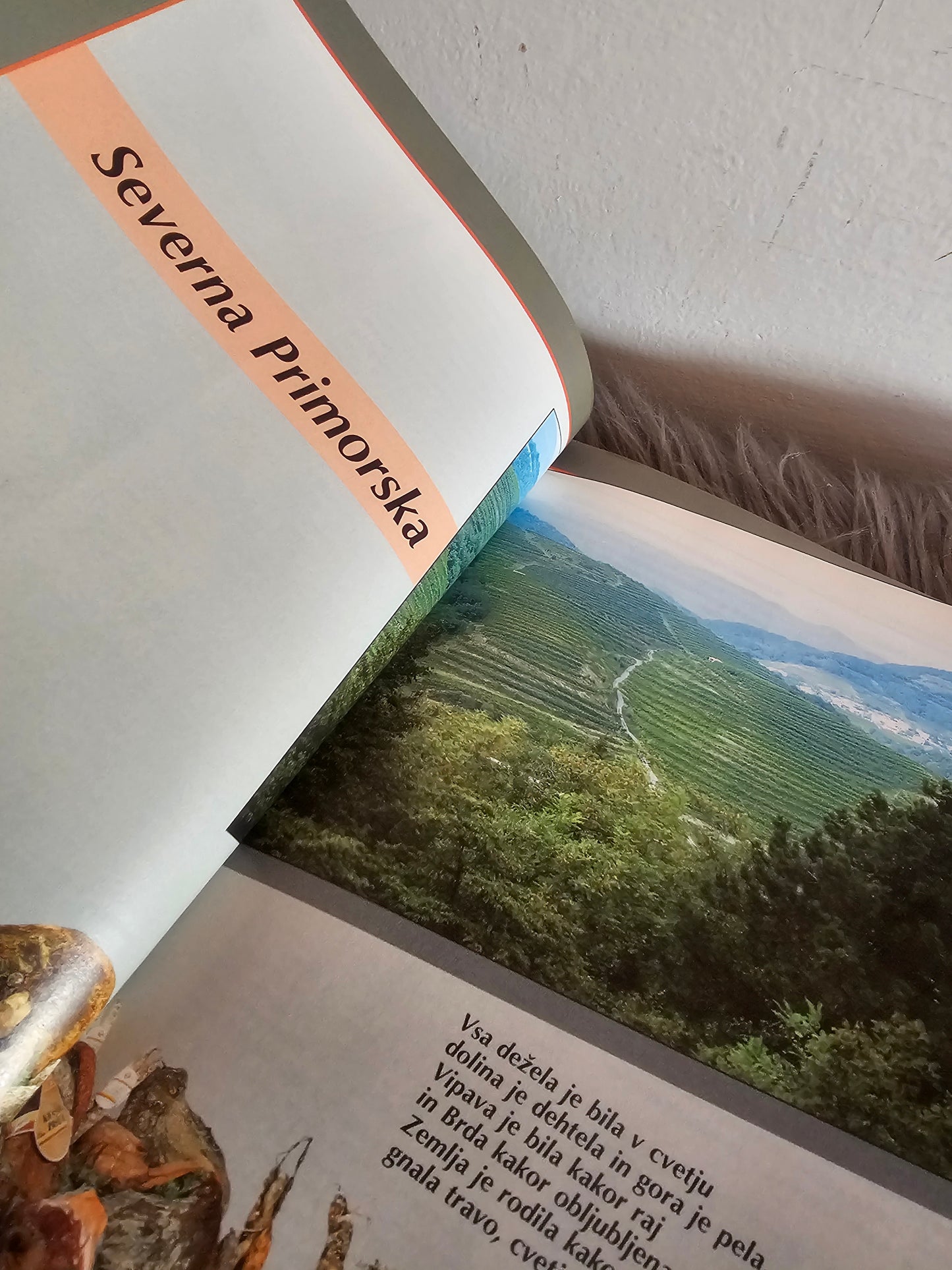 Suhe mesnine - narodne posebnosti Stanko Renčelj