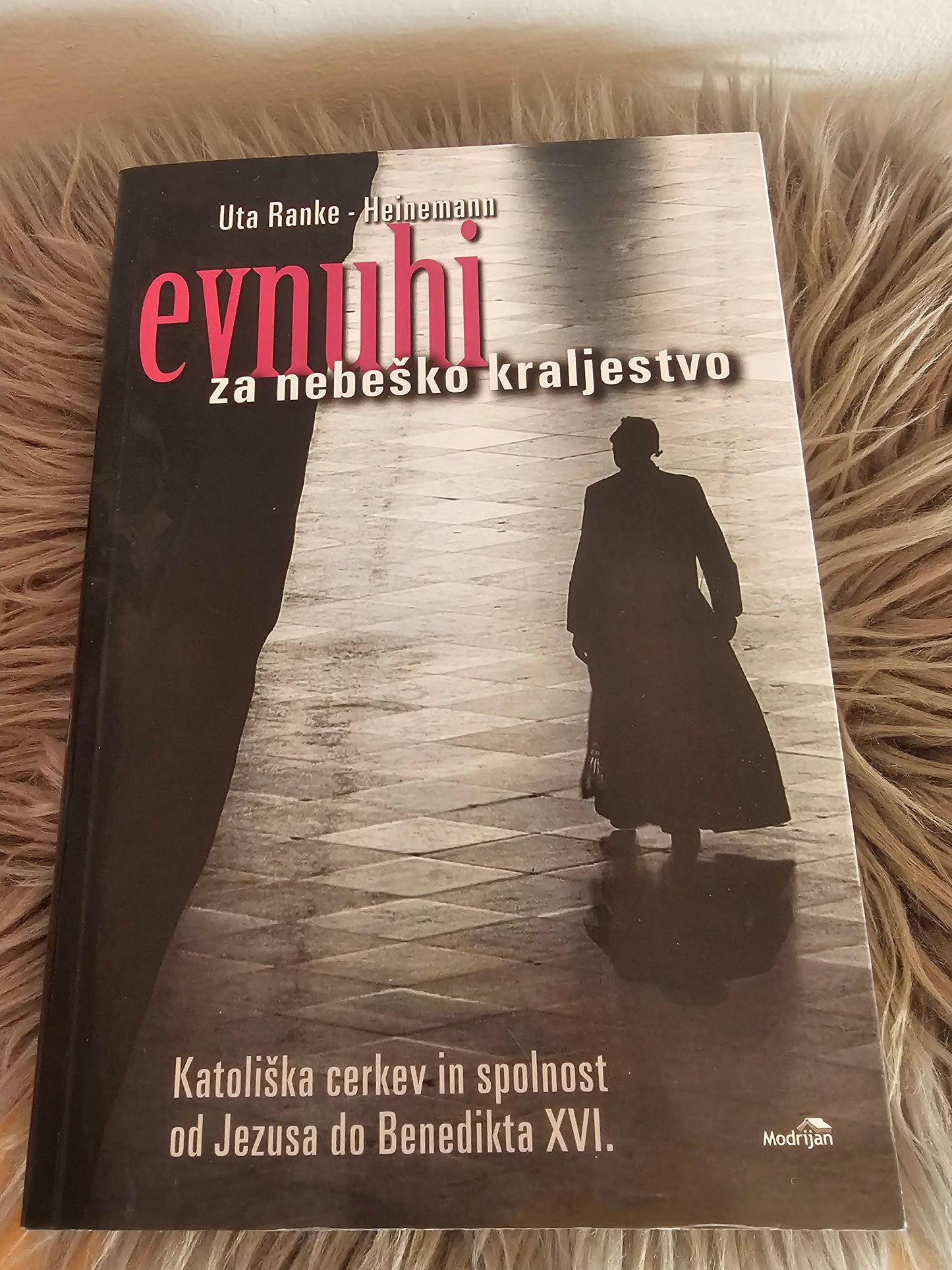 Evnuhi za nebeško kraljestvo Uta Ranke Heinemann