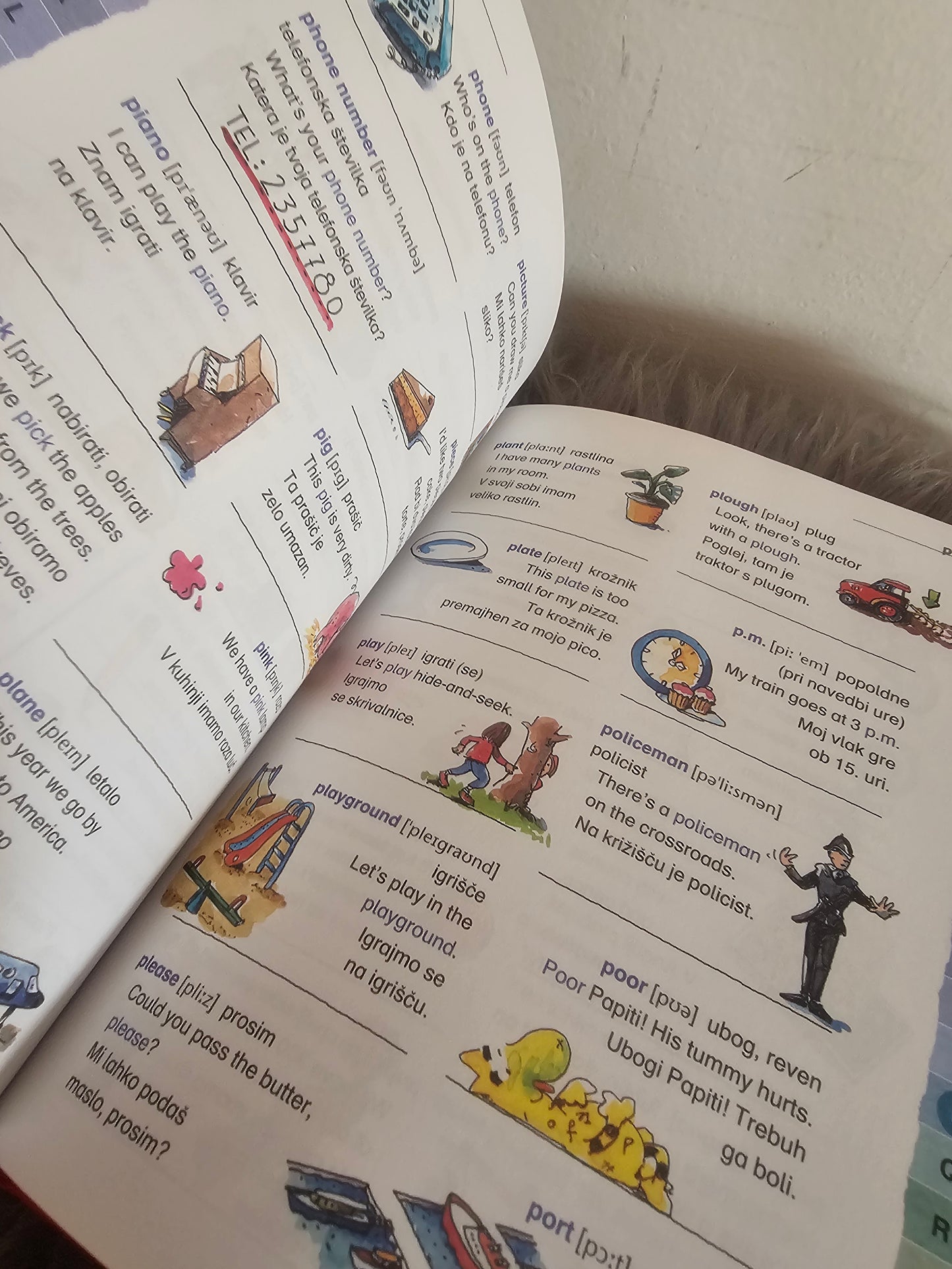 Angleško slovenski slovar za osnovno šolo Mladinska knjiga