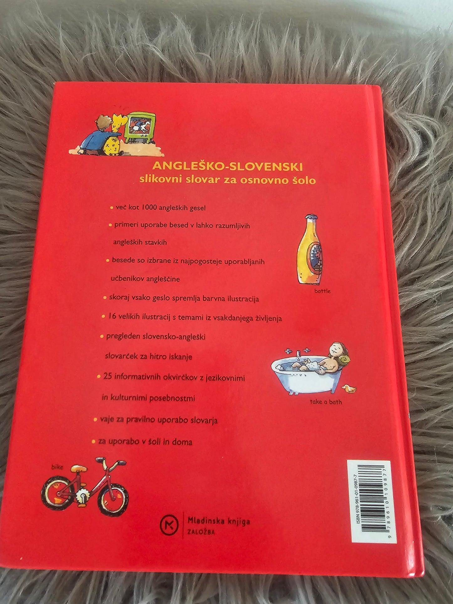 Angleško slovenski slovar za osnovno šolo Mladinska knjiga