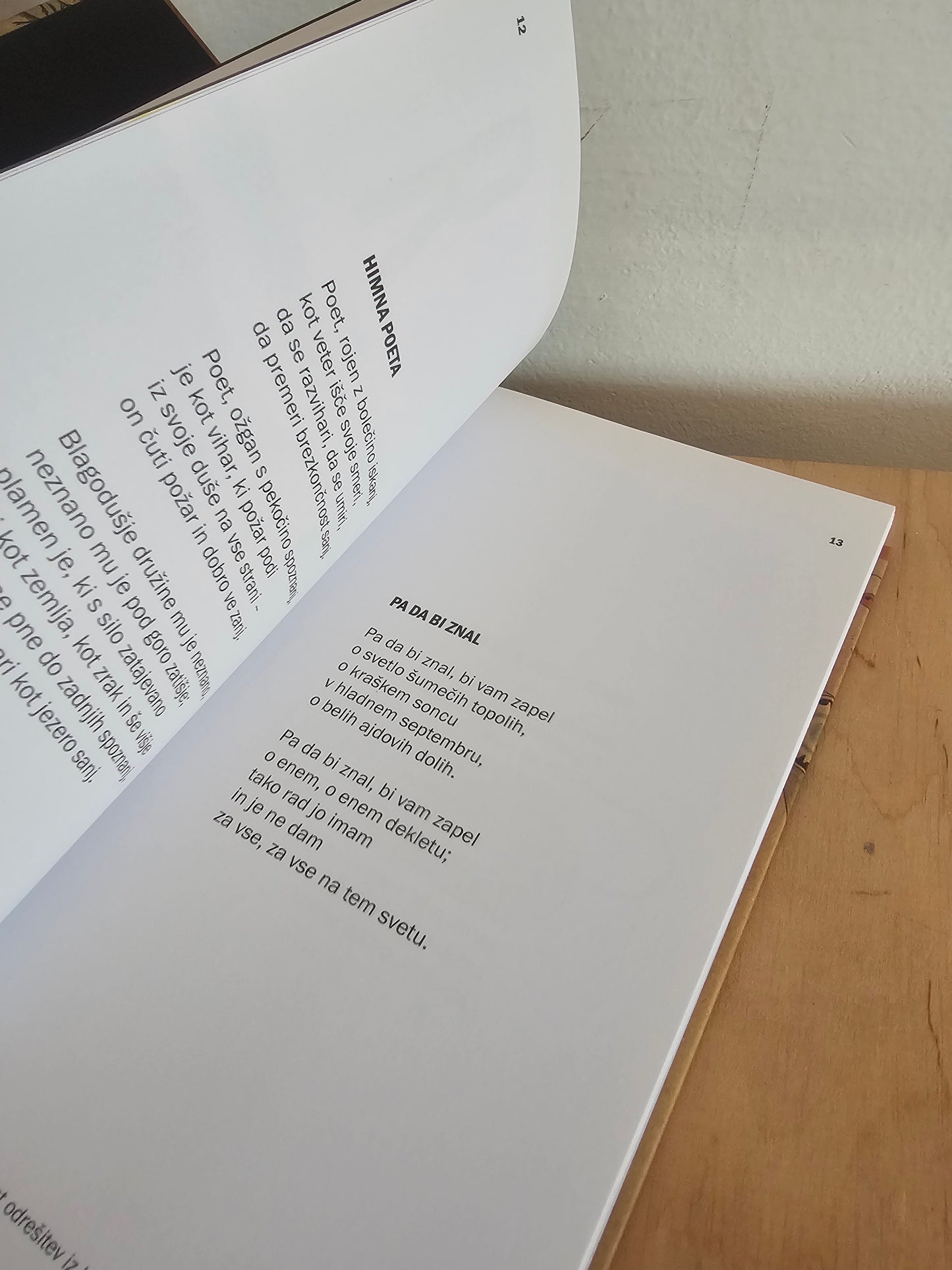 Barž Kons besede v prostoru Srečko Kosovel